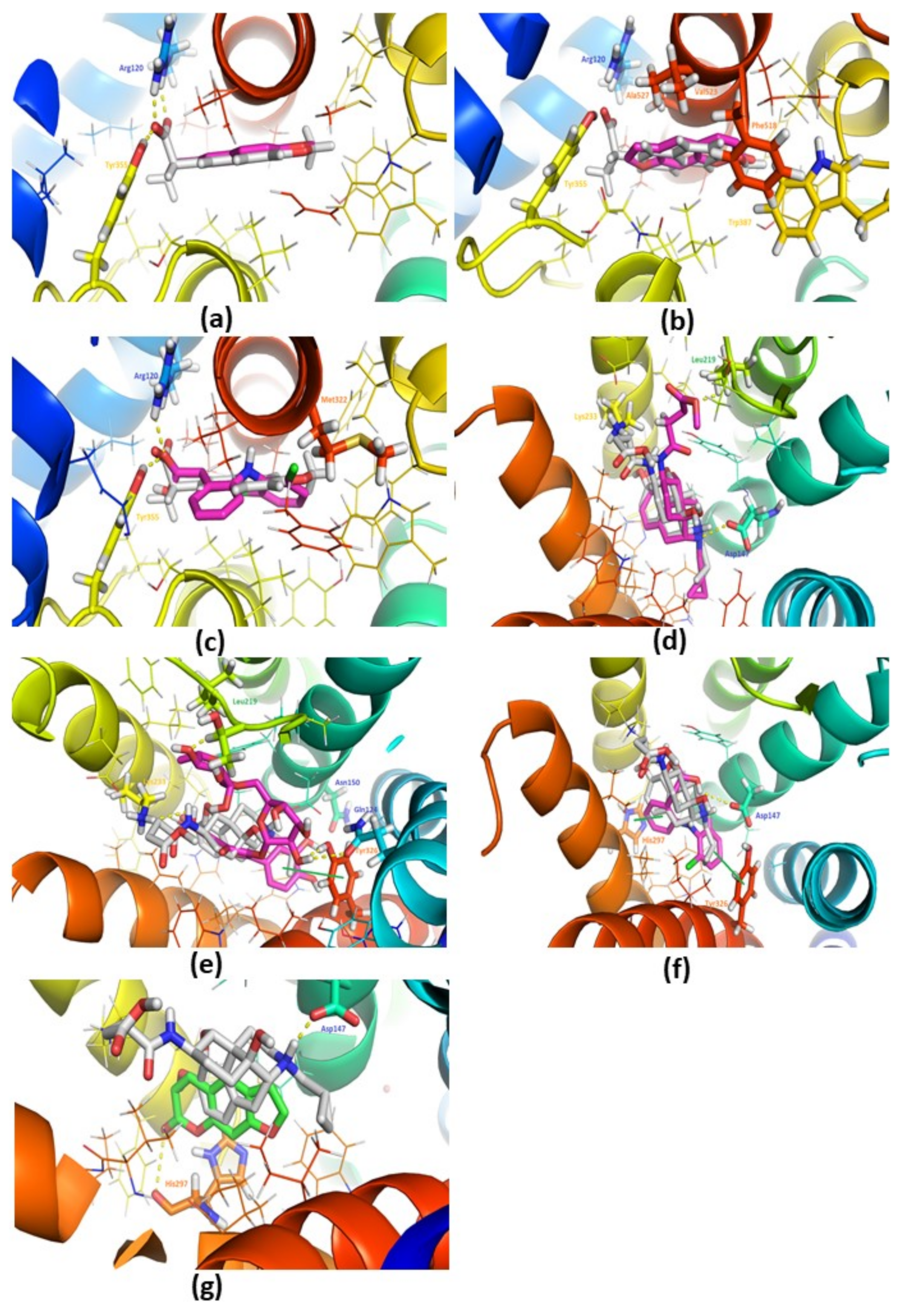 Plants 10 01685 g005