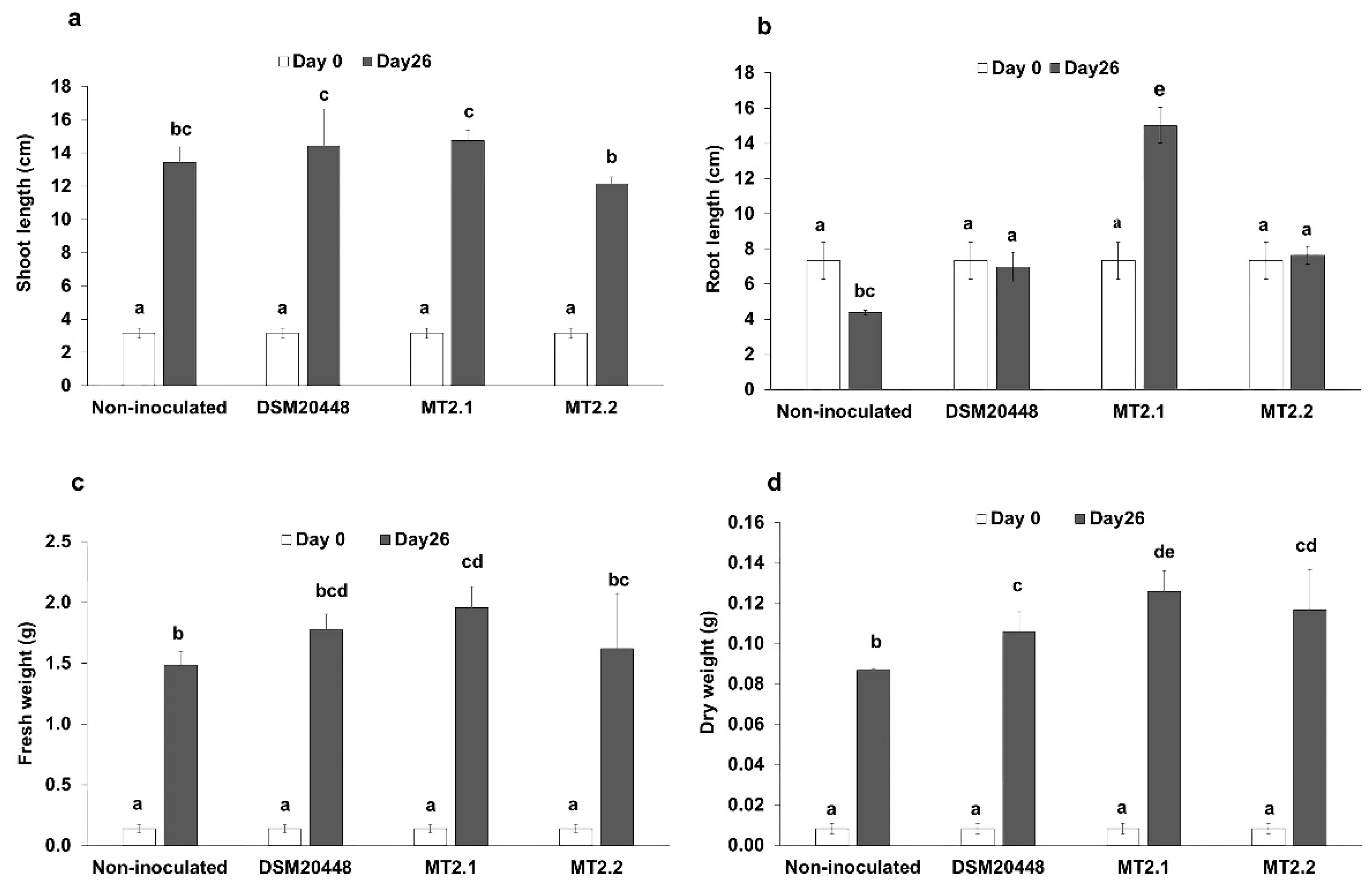 Plants 10 01687 g001