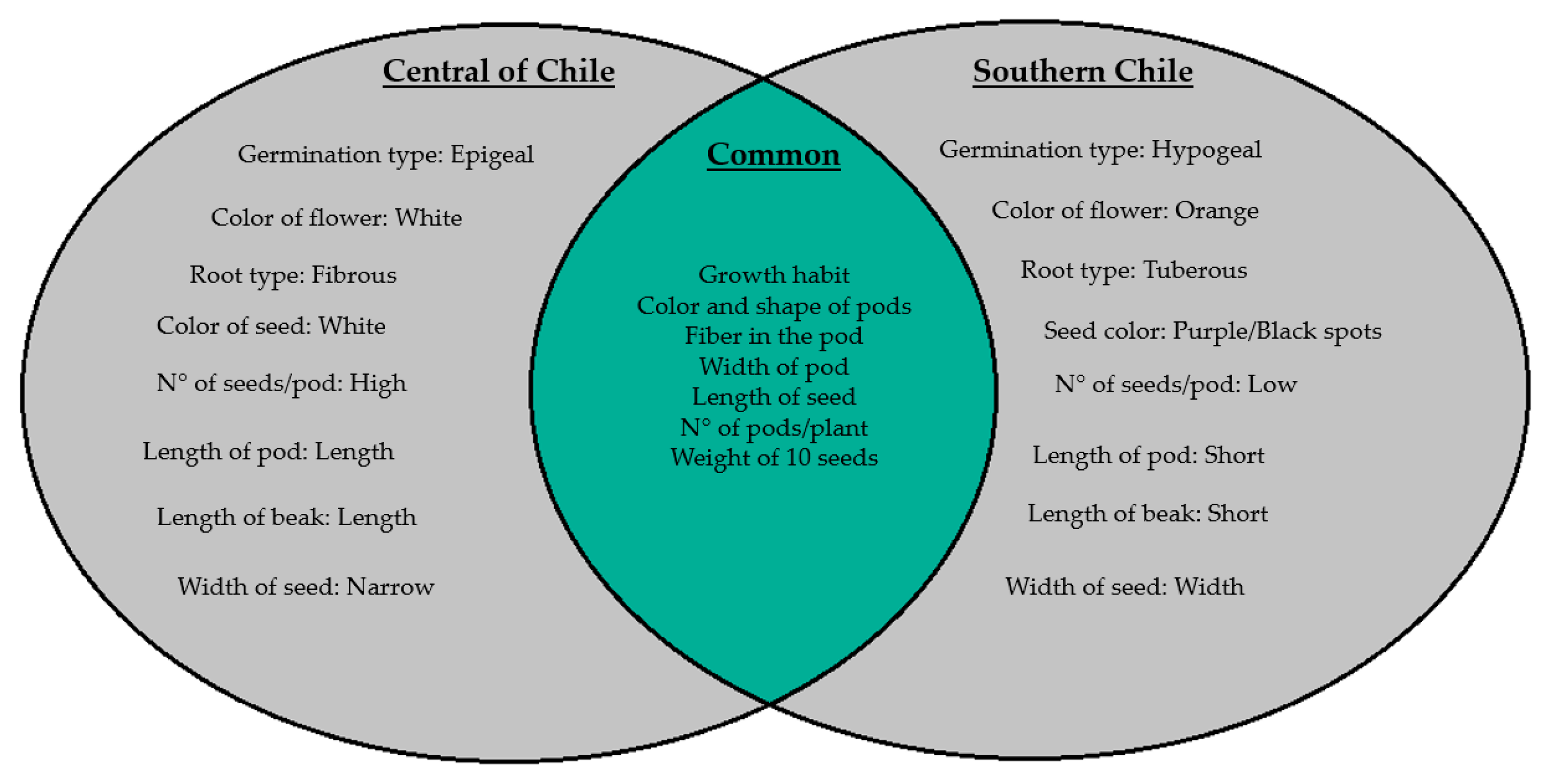 Plants 10 01688 g004
