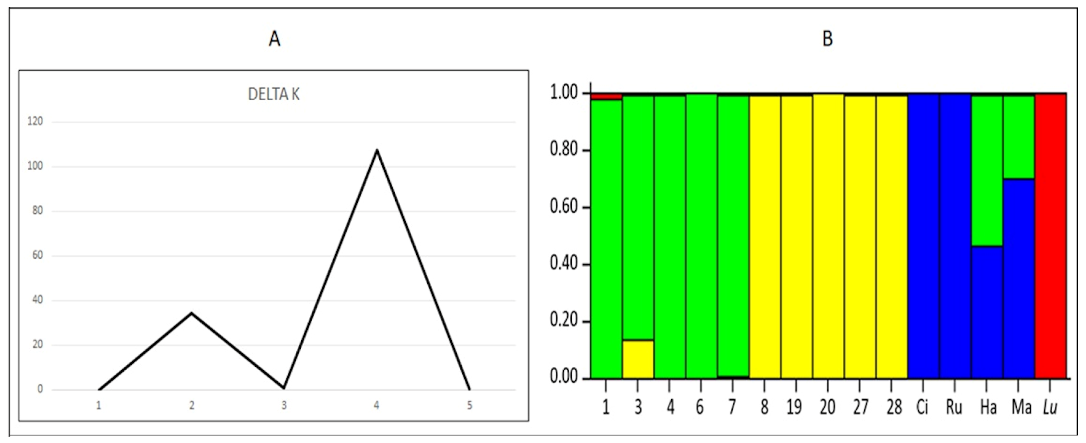 Plants 10 01688 g006