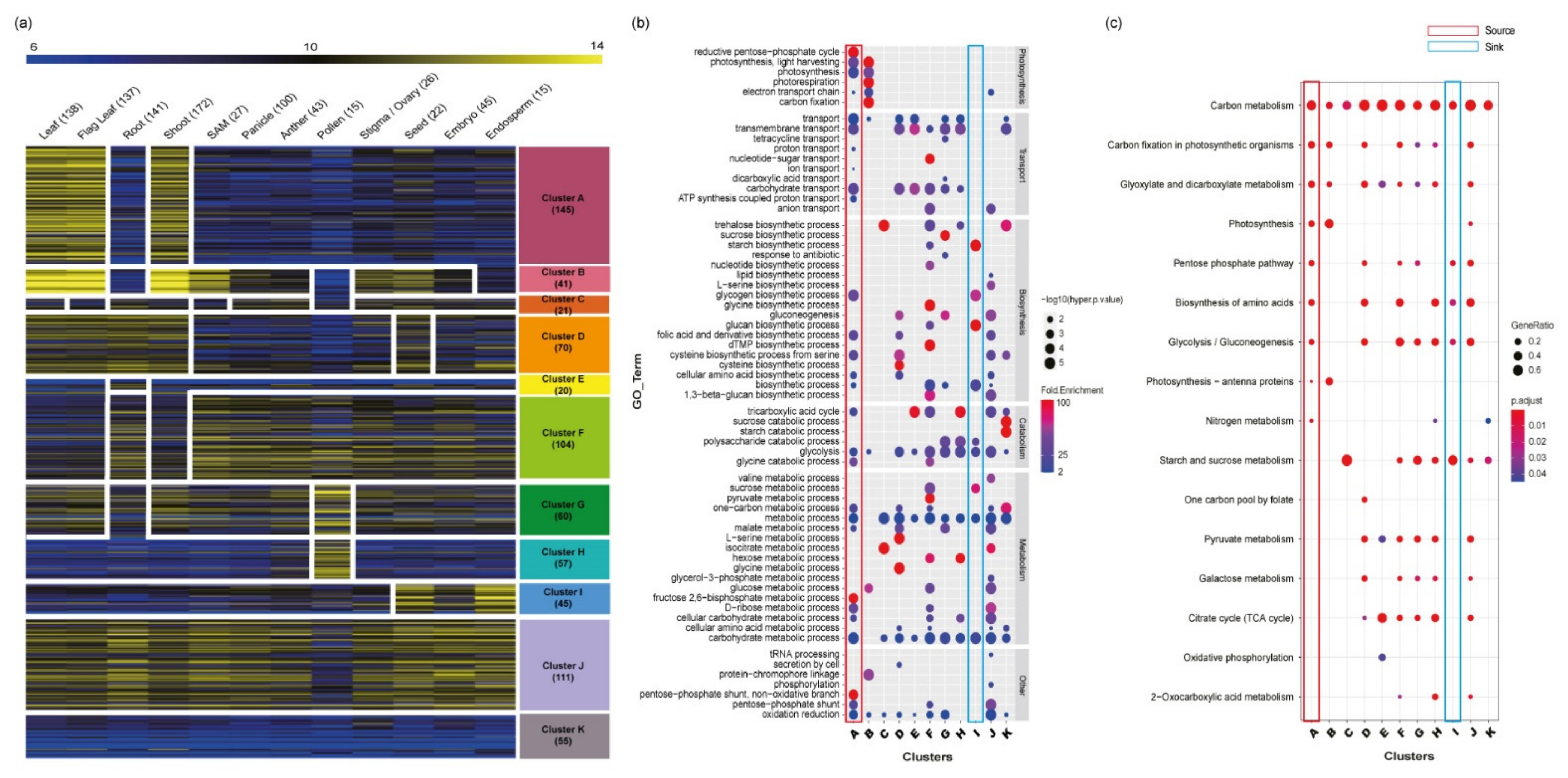 Plants 10 01690 g003 Plants 10 01690 g003