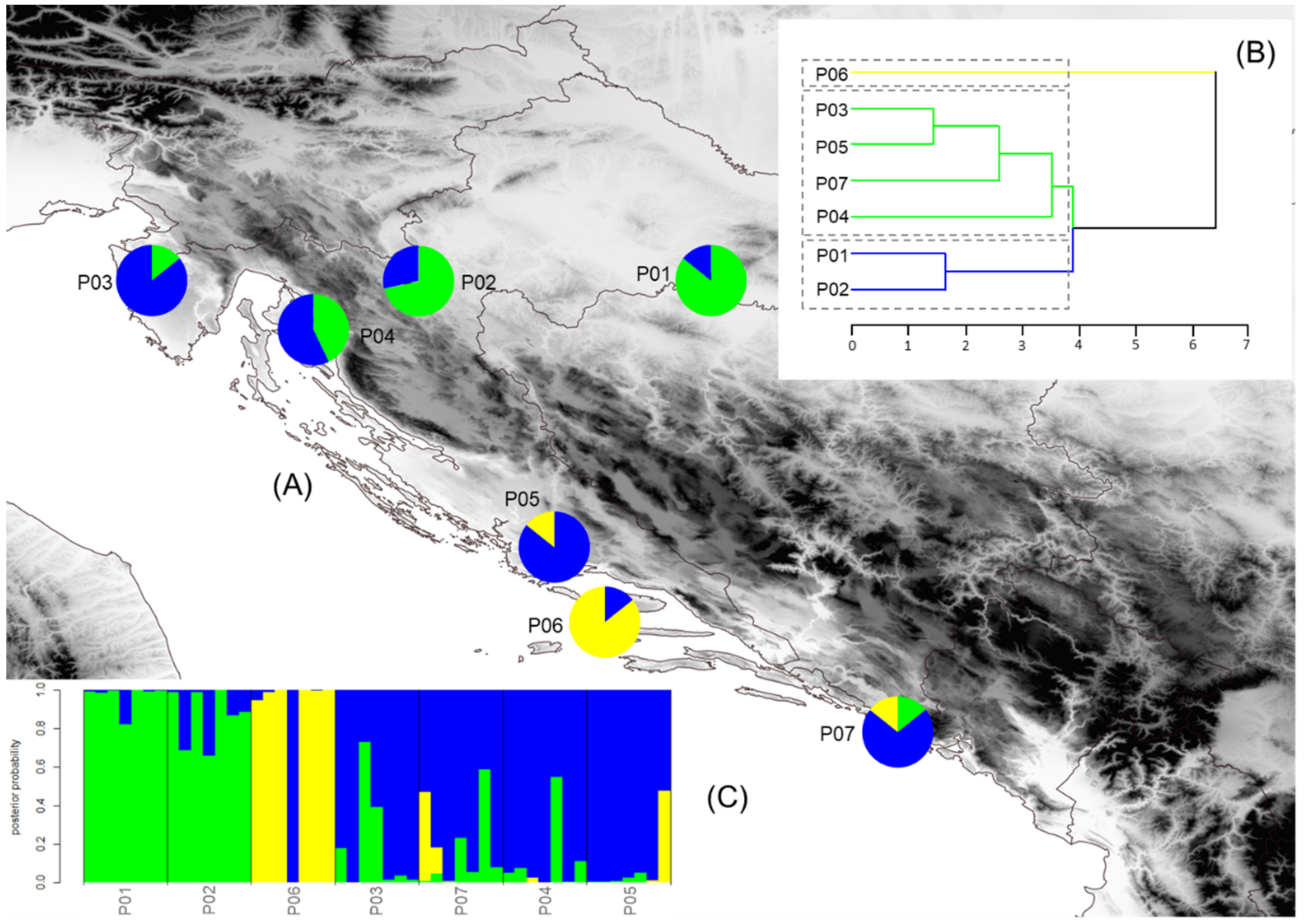 Plants 10 01691 g001 Plants 10 01691 g001