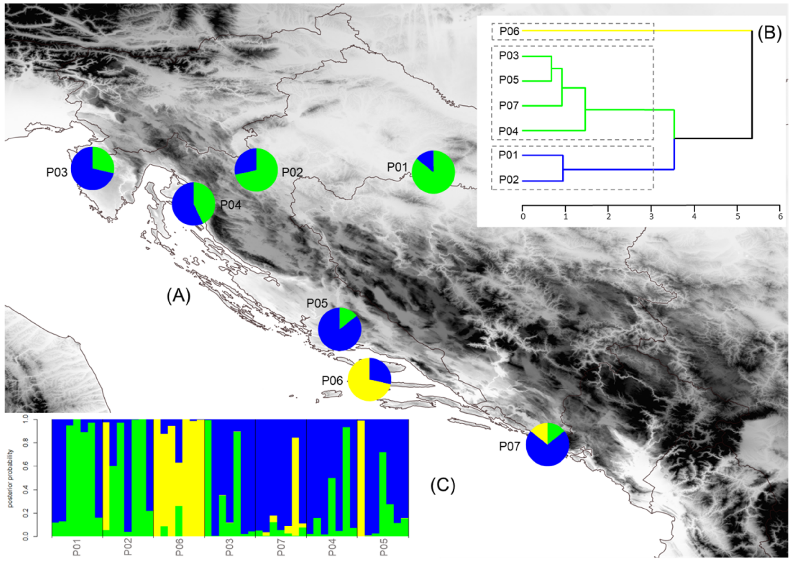 Plants 10 01691 g002 Plants 10 01691 g002