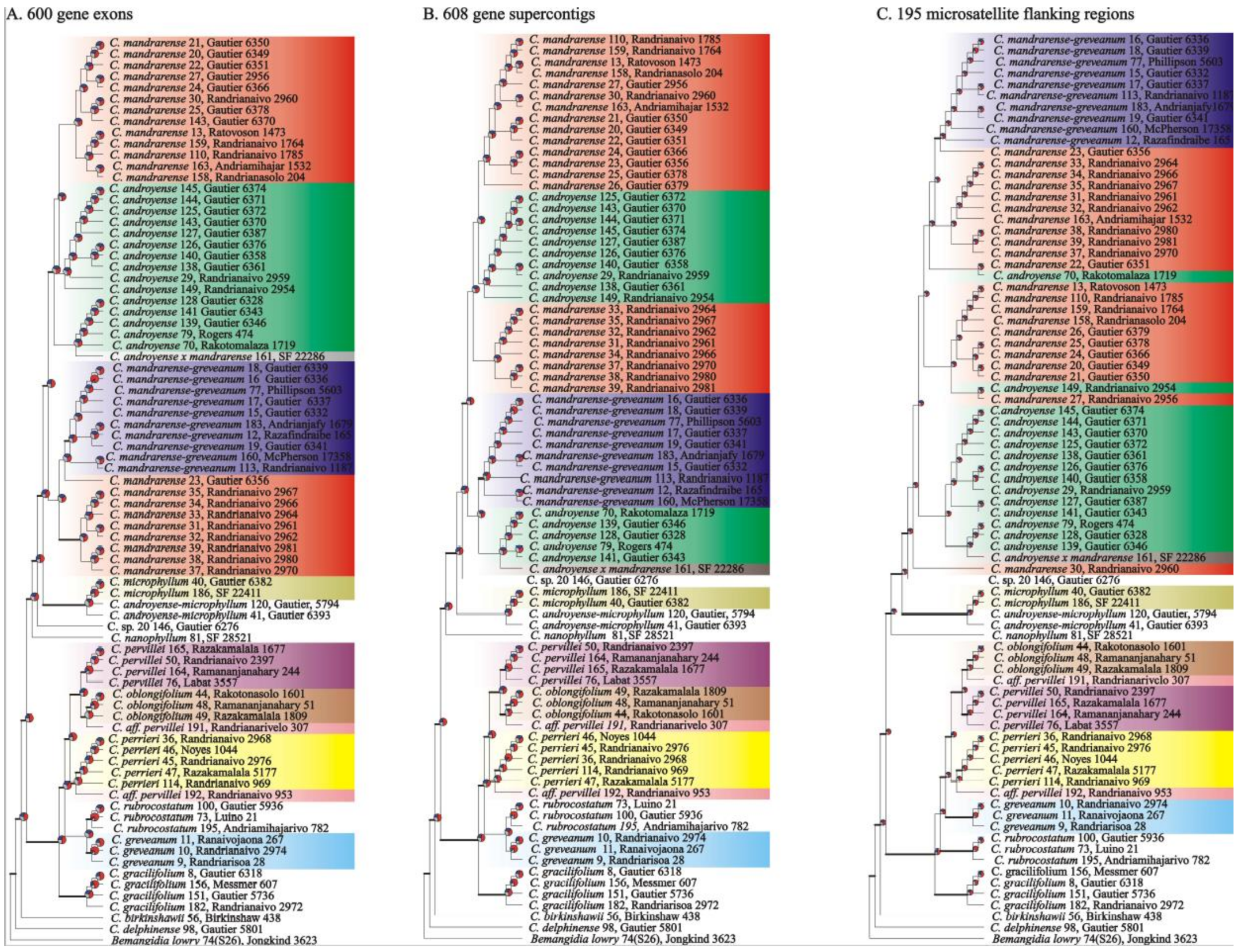 Plants 10 01702 g003 550