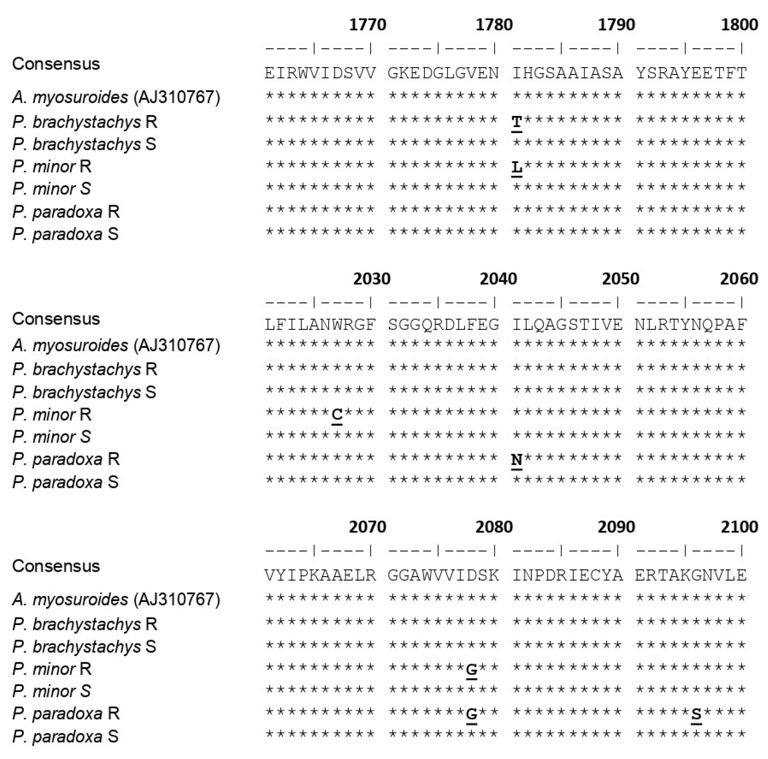 Plants 10 01703 g002 Plants 10 01703 g002