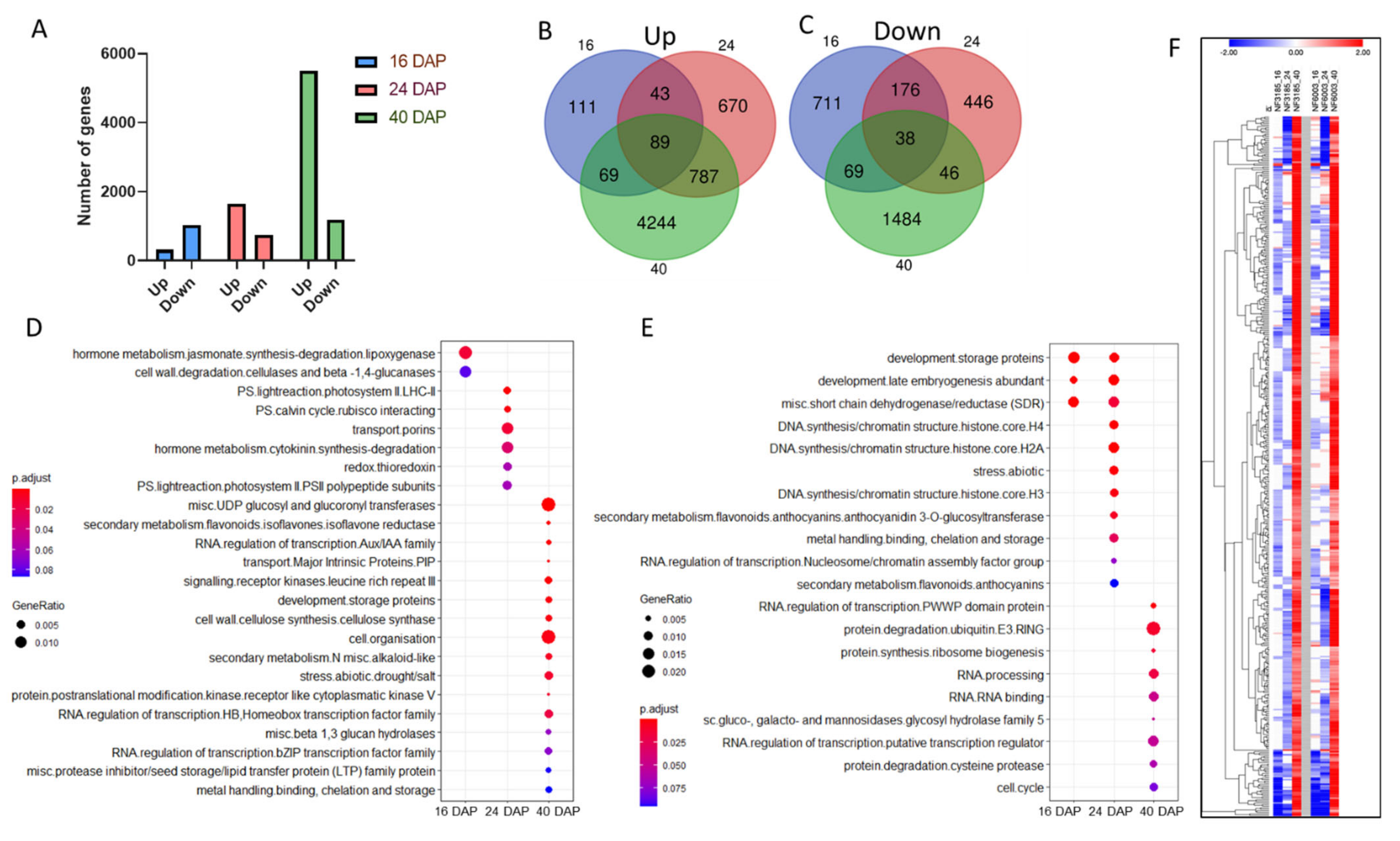 Plants 10 01710 g001