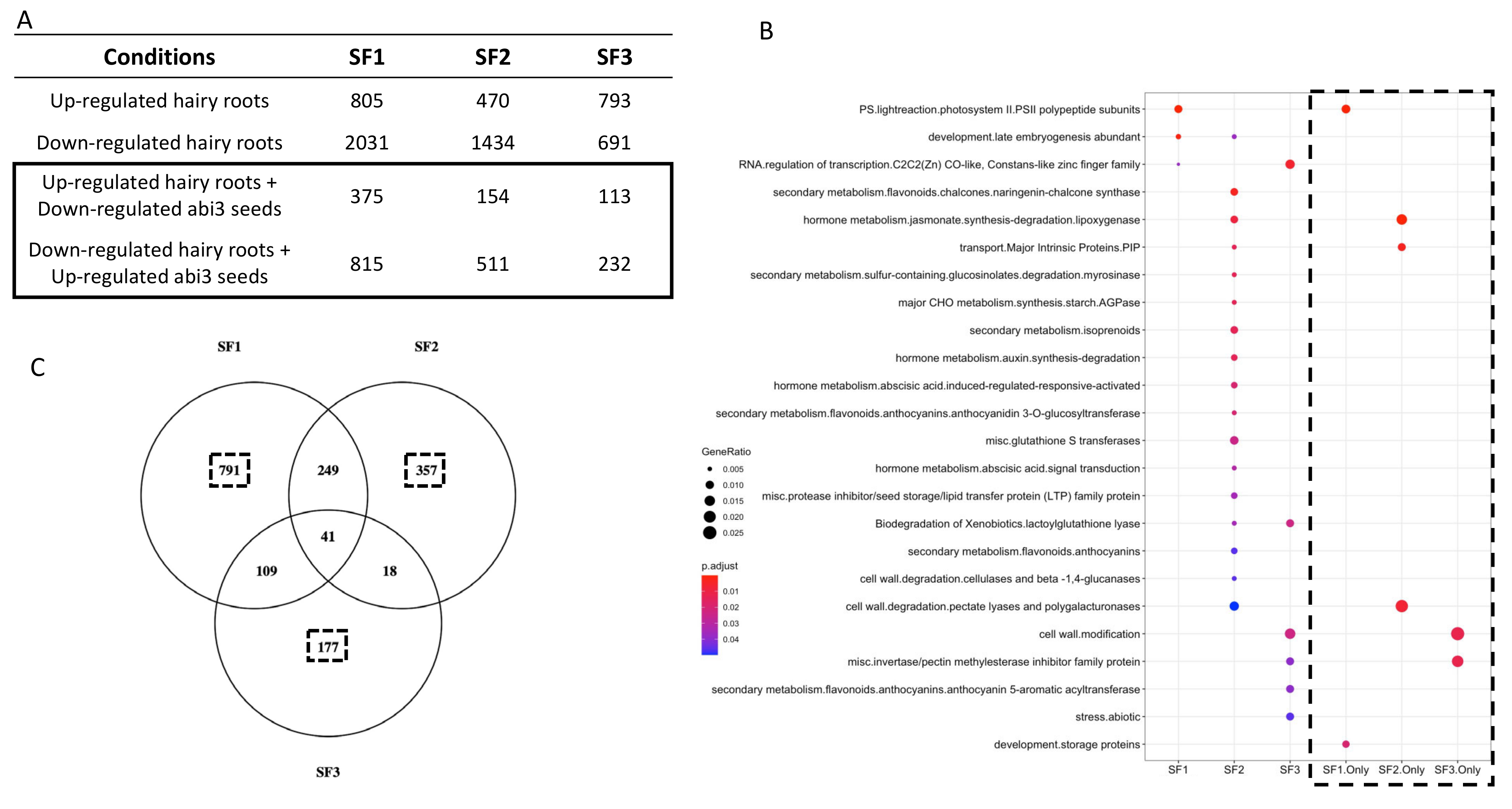Plants 10 01710 g003