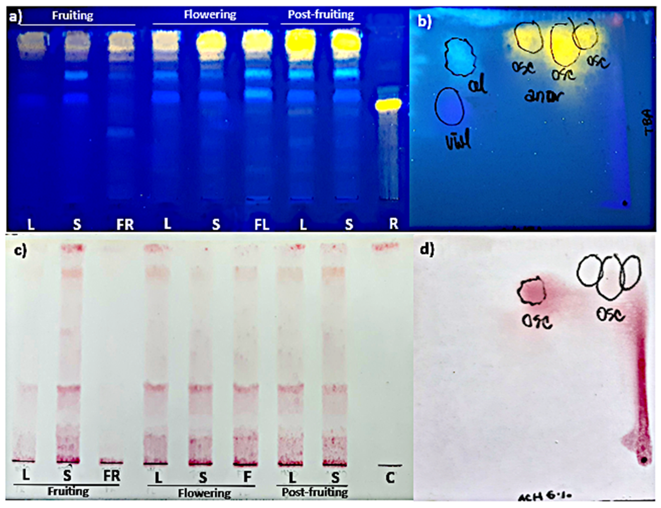 Plants 10 01713 g002 Plants 10 01713 g002
