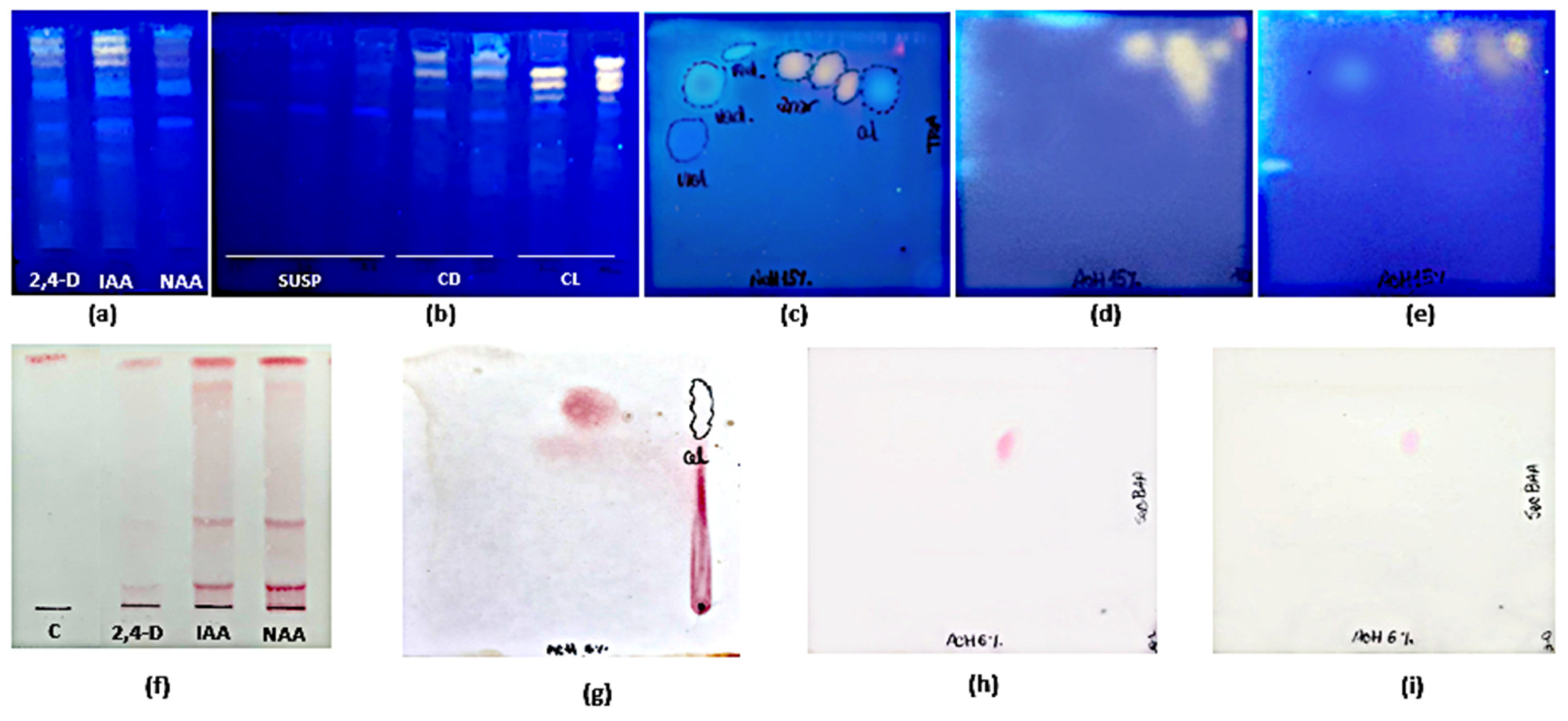 Plants 10 01713 g007 Plants 10 01713 g007