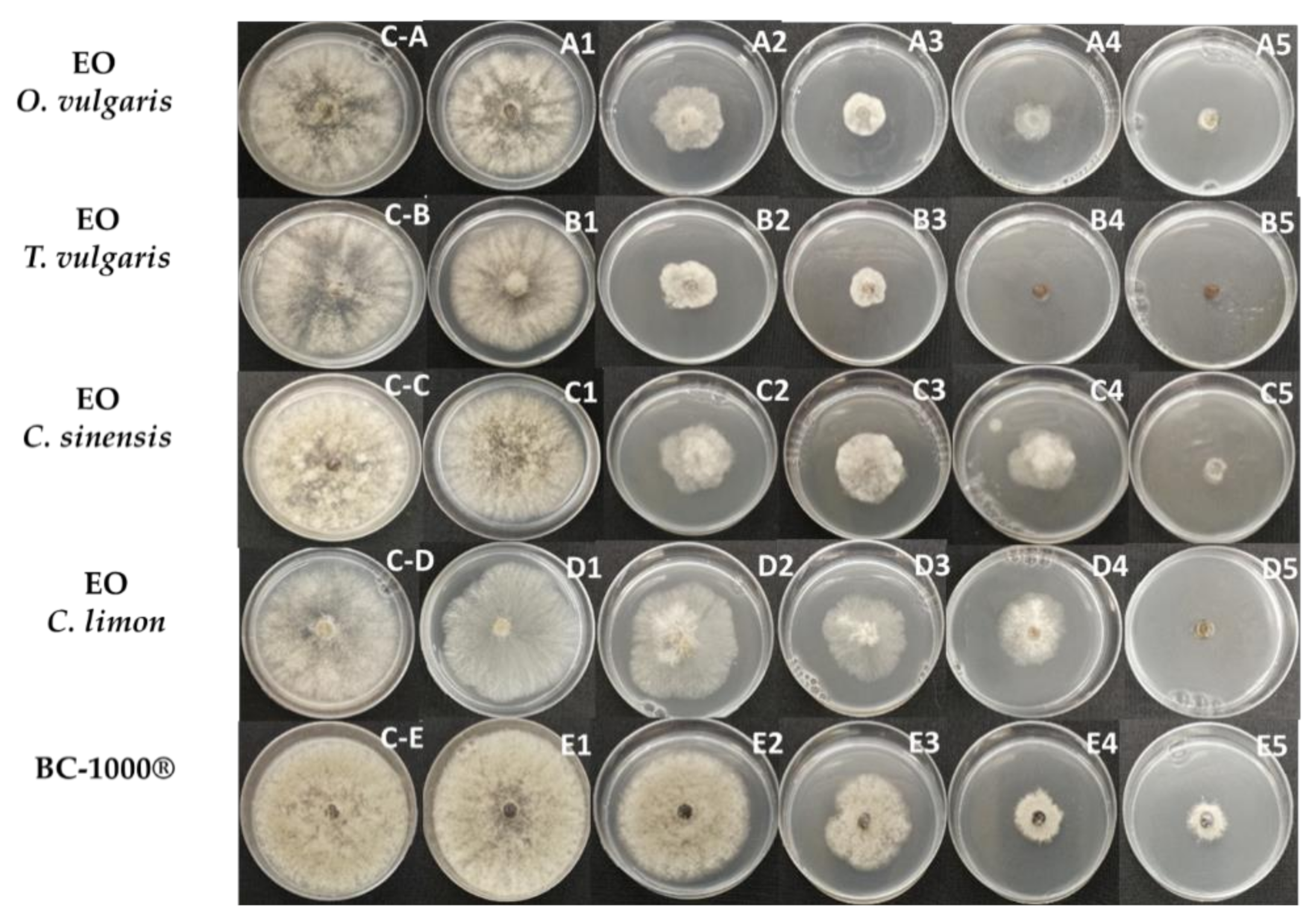 Plants 10 01719 g001