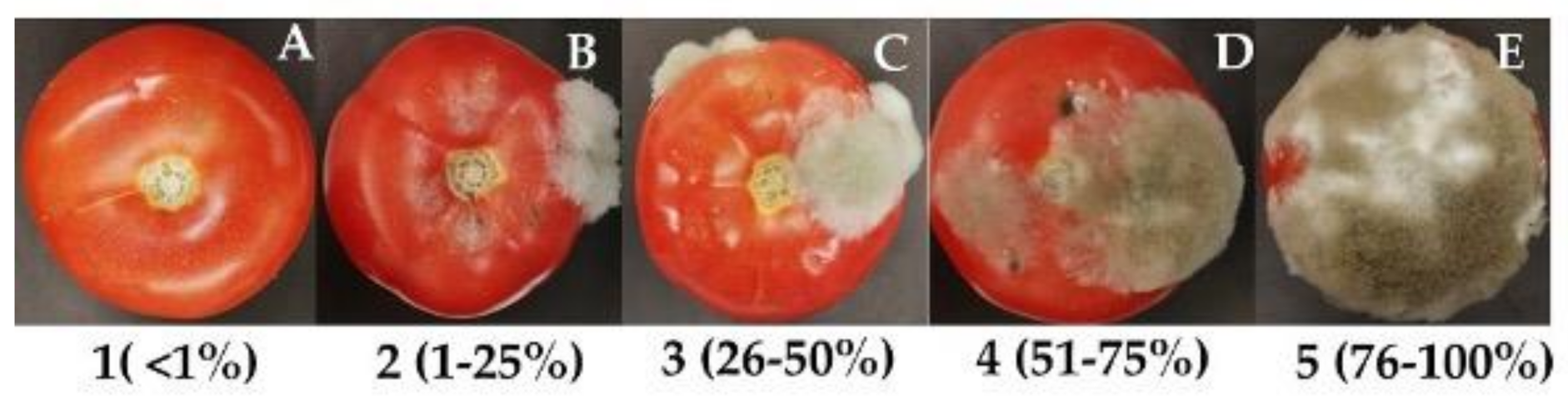 Plants 10 01719 g005