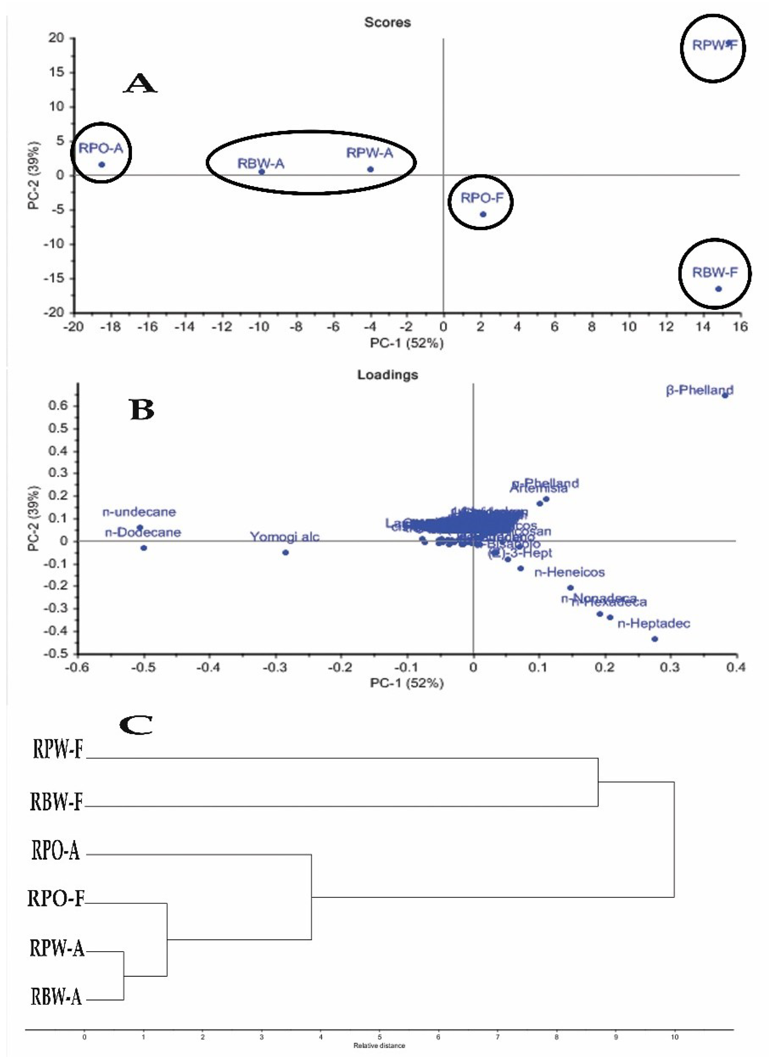 Plants 10 01721 g001