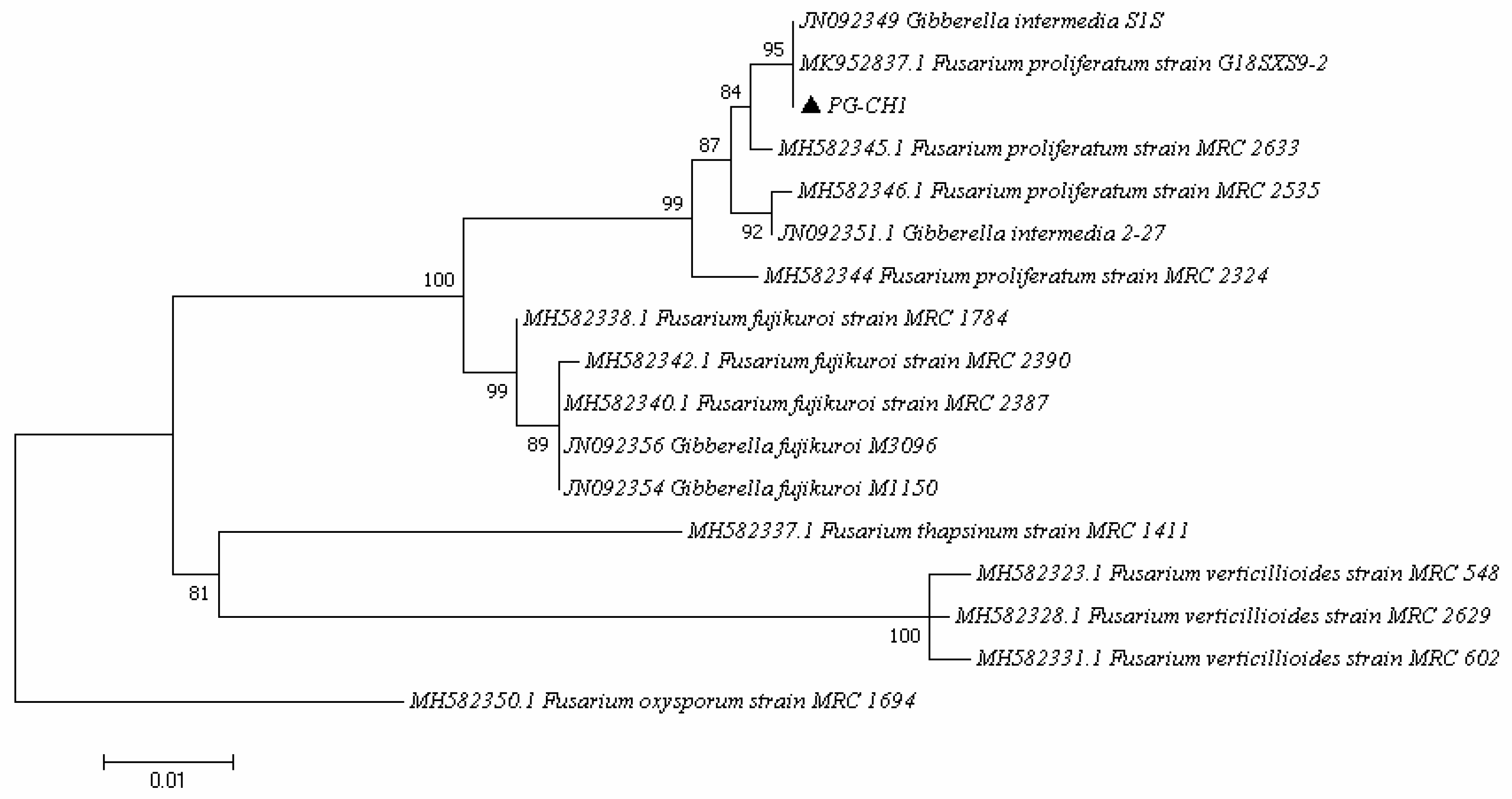 Plants 10 01725 g001 550