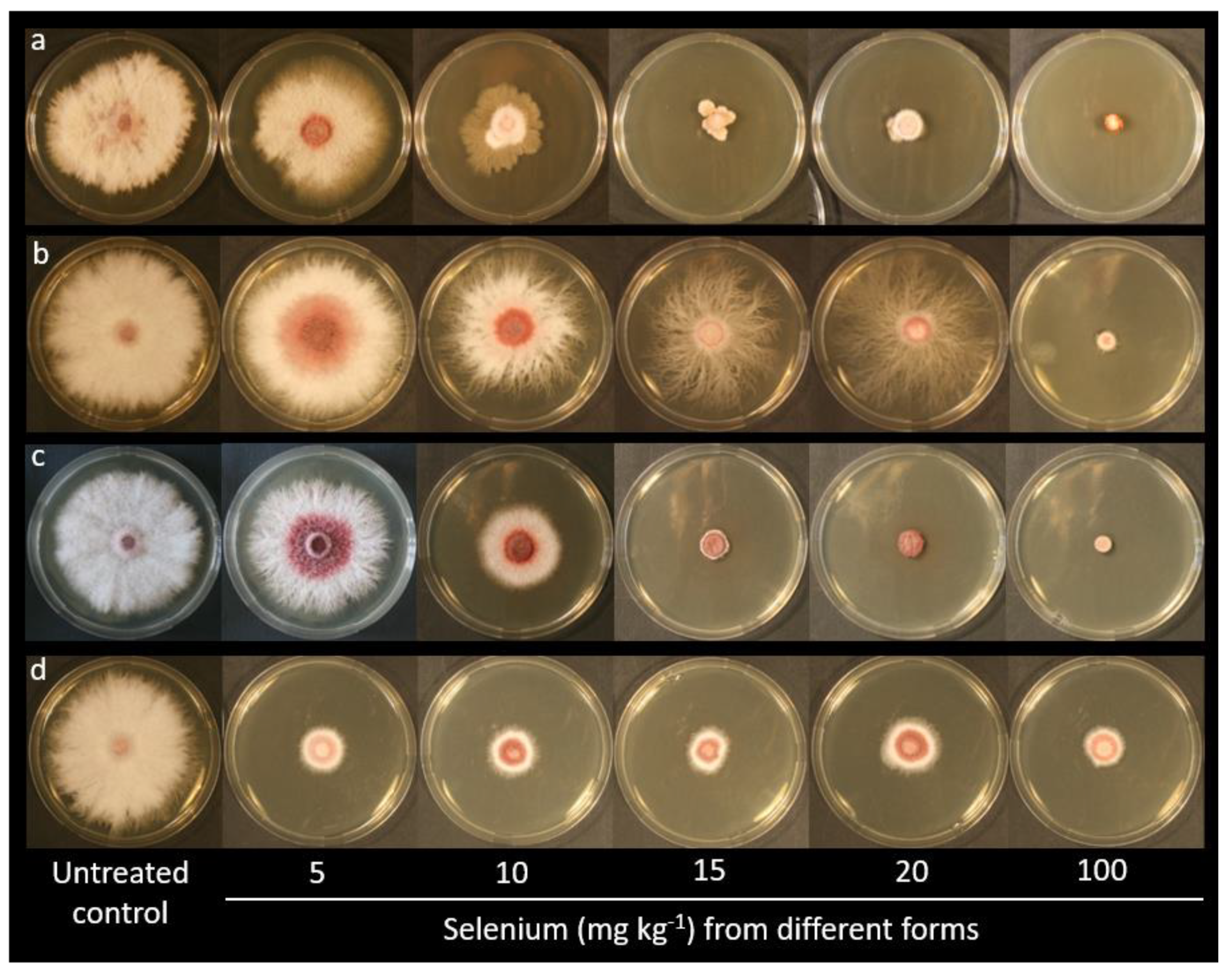 Plants 10 01725 g002 550