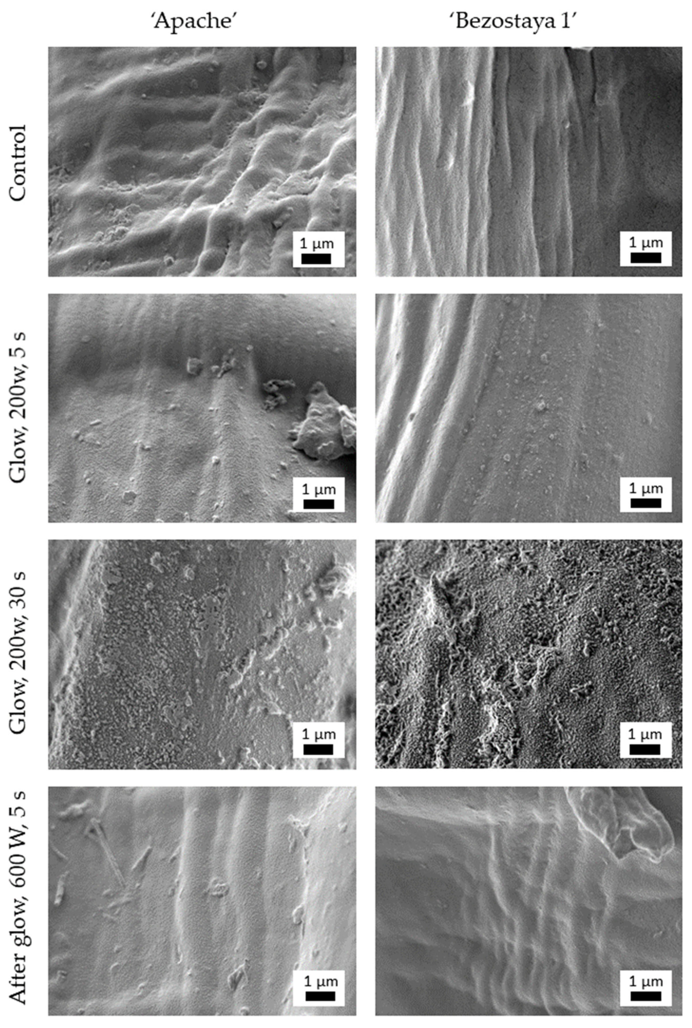 Plants 10 01728 g001 550