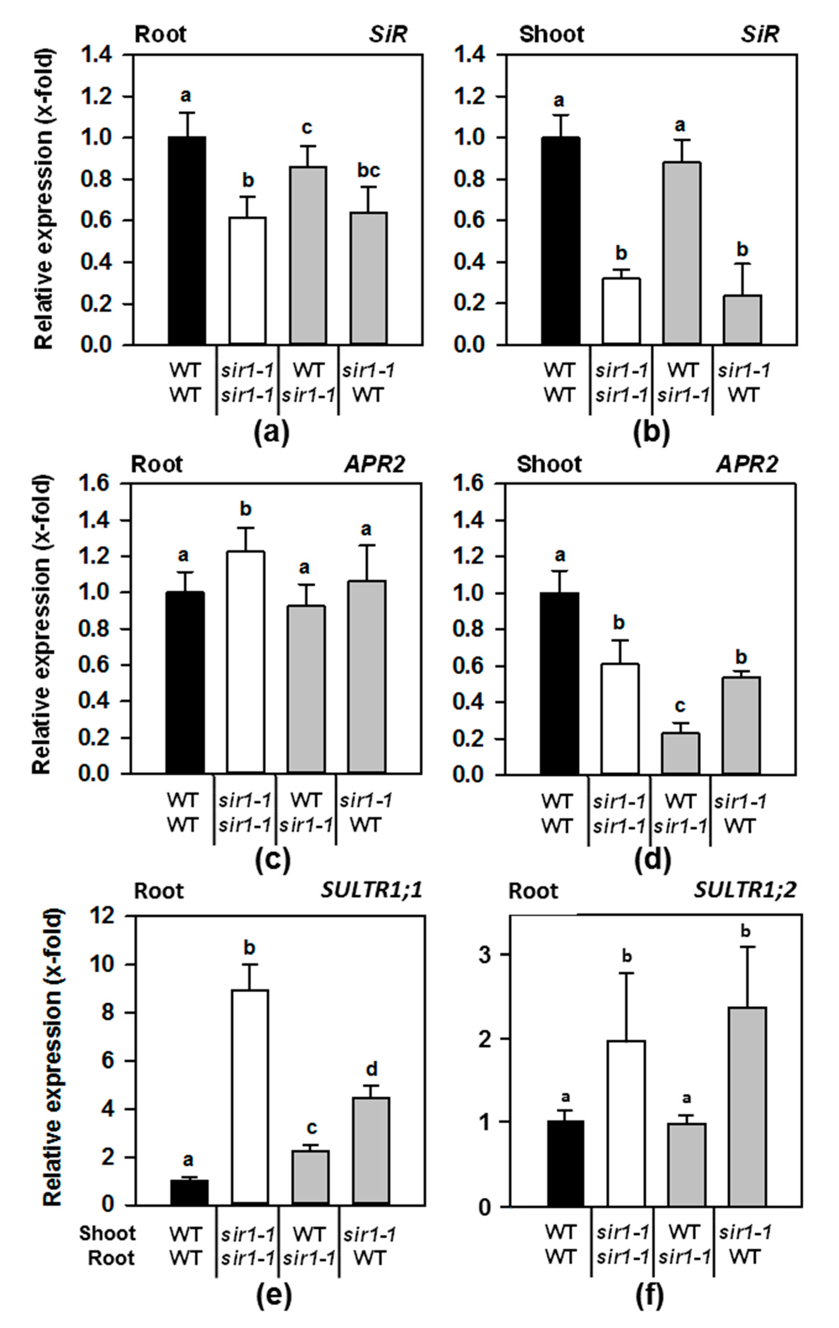 Plants 10 01729 g002 Plants 10 01729 g002