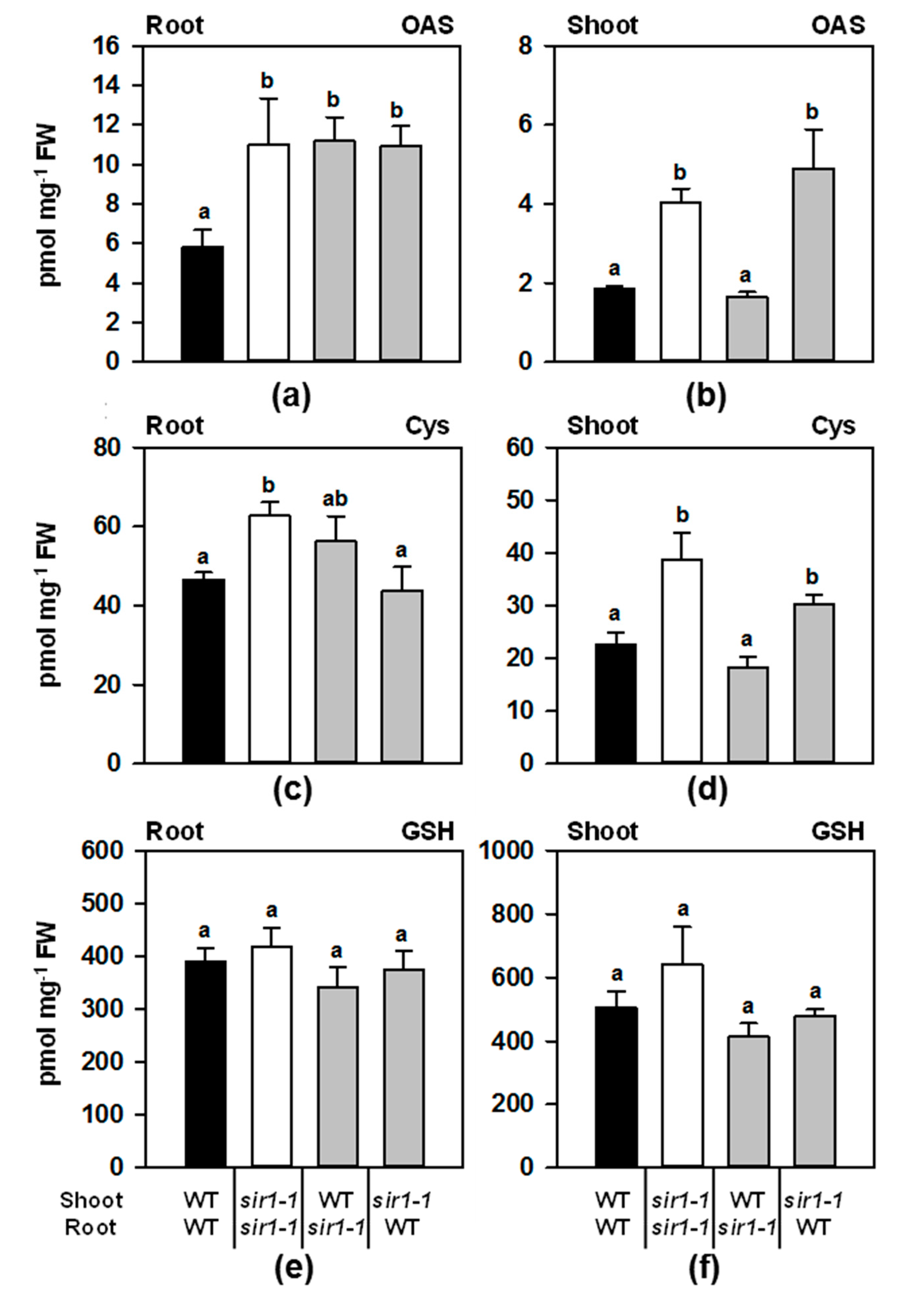 Plants 10 01729 g004 Plants 10 01729 g004