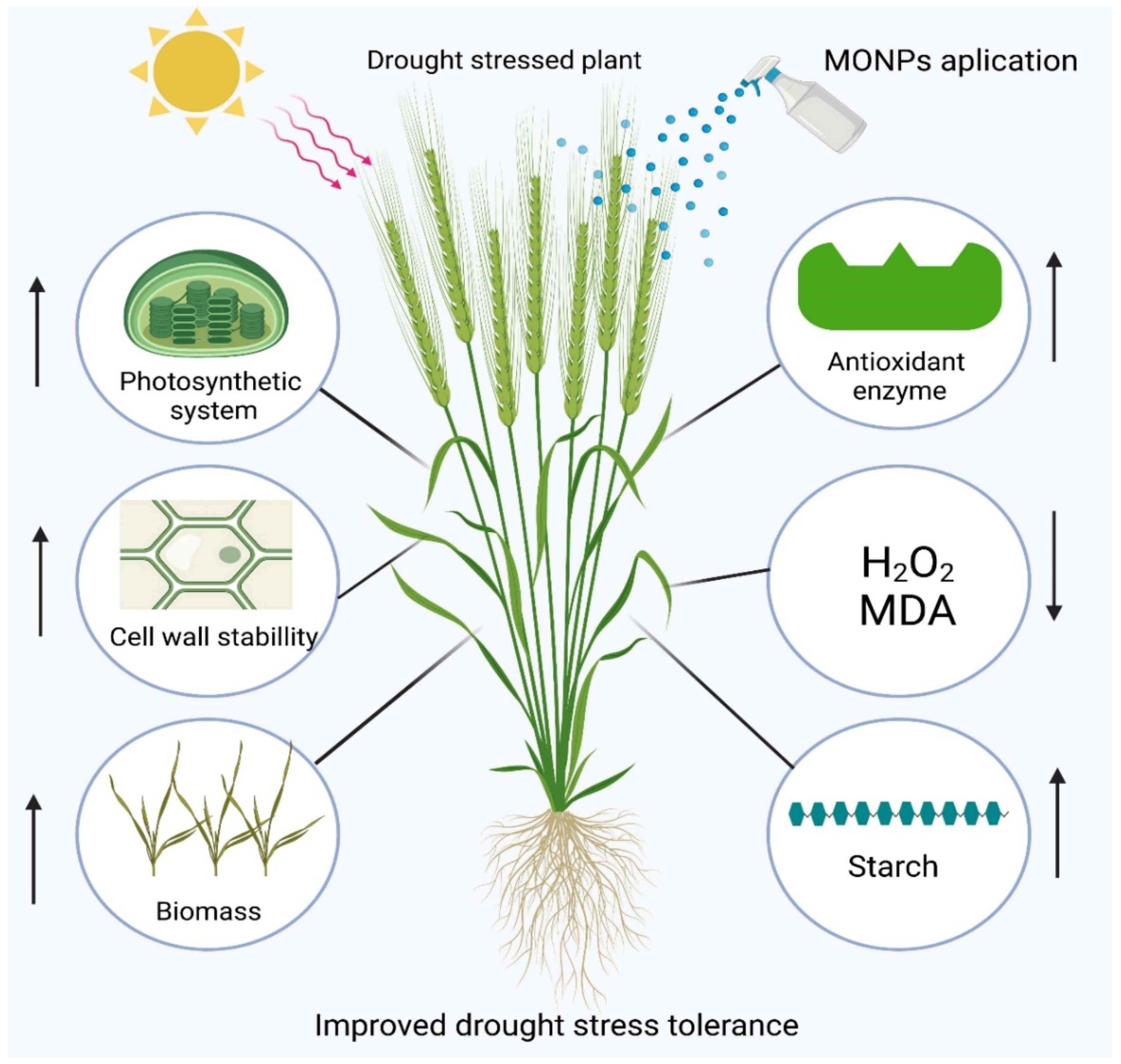 Plants 10 01730 g002 550