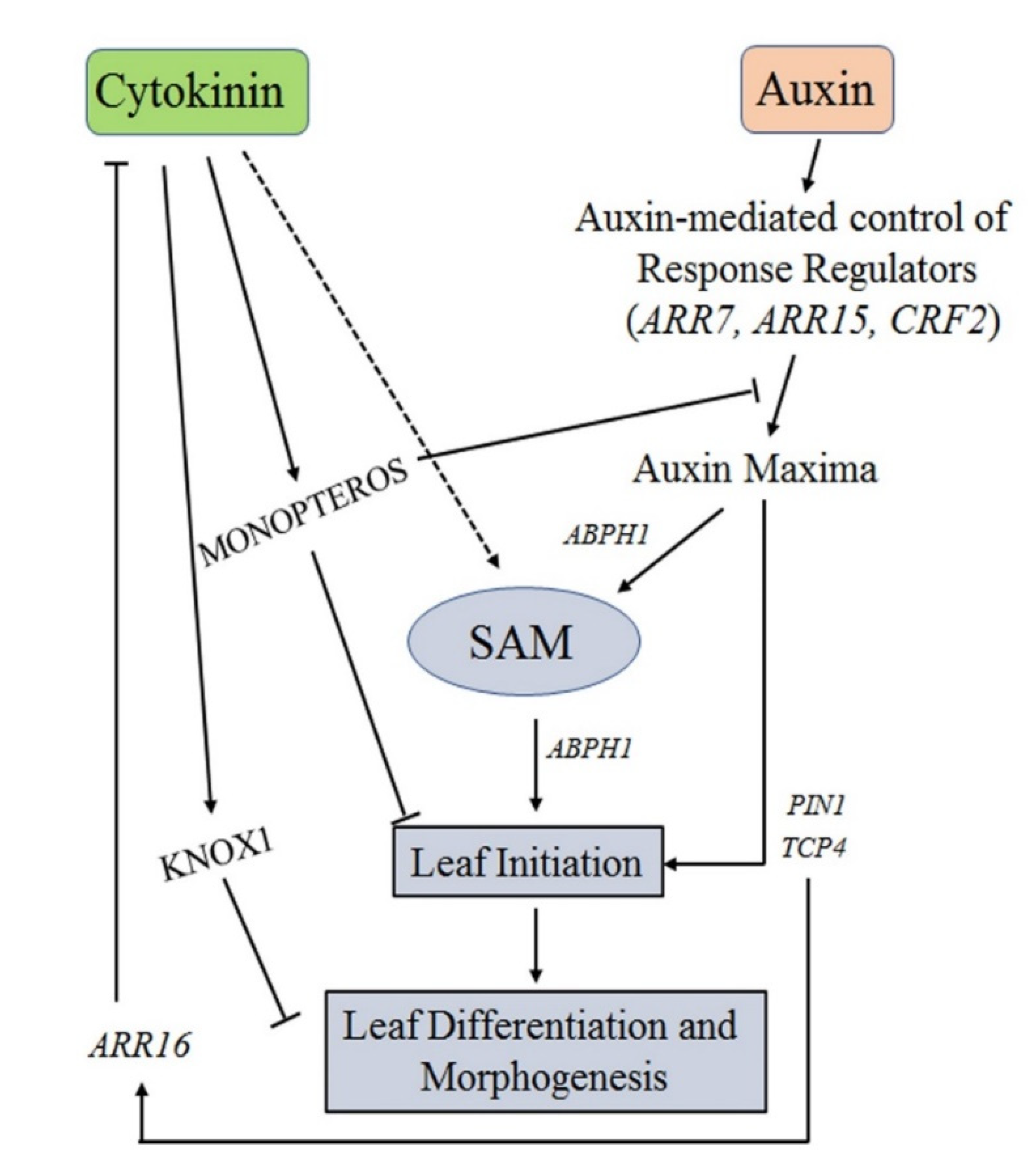 Plants 10 01732 g002 550