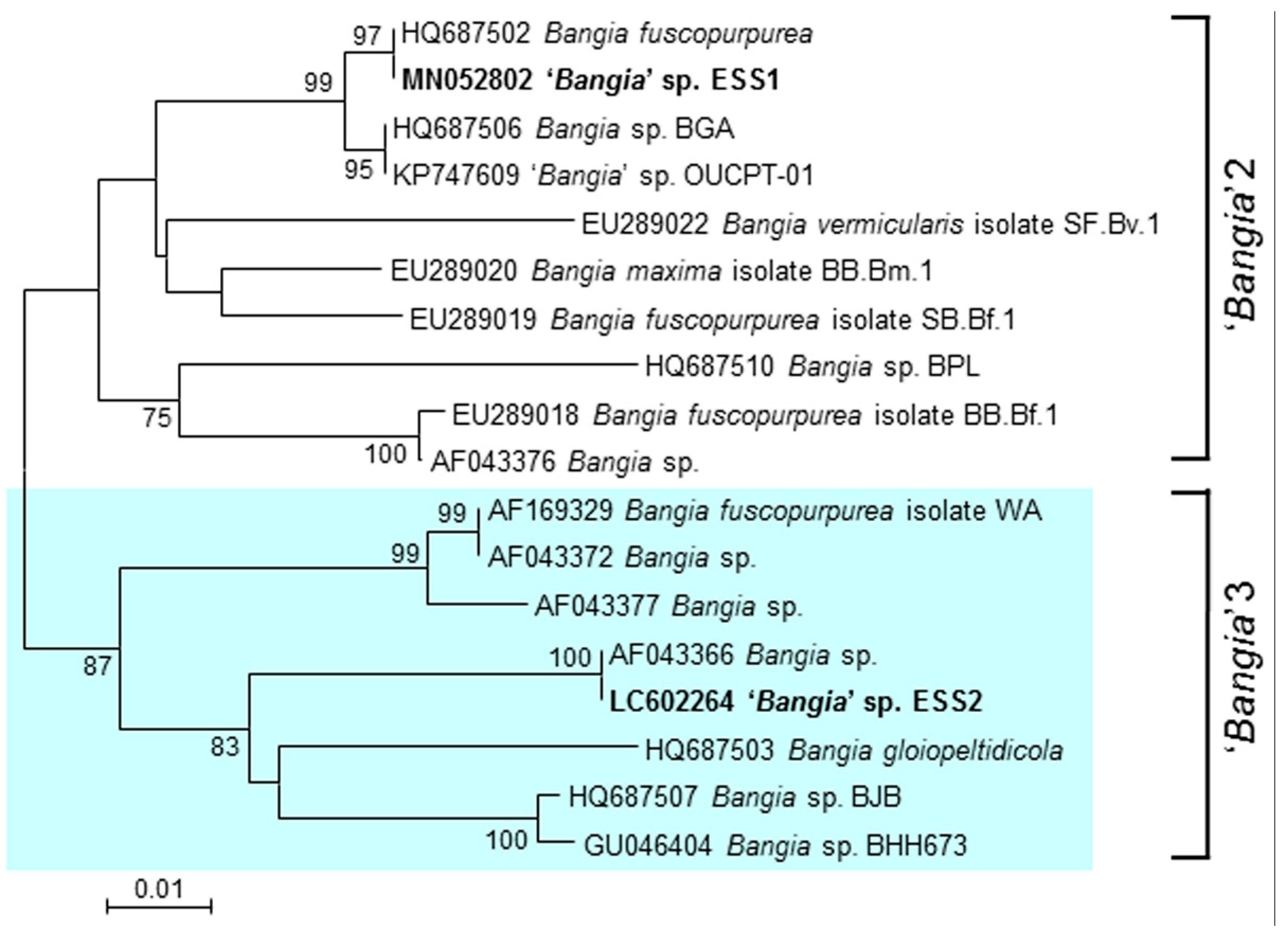 Plants 10 01733 g001 Plants 10 01733 g001