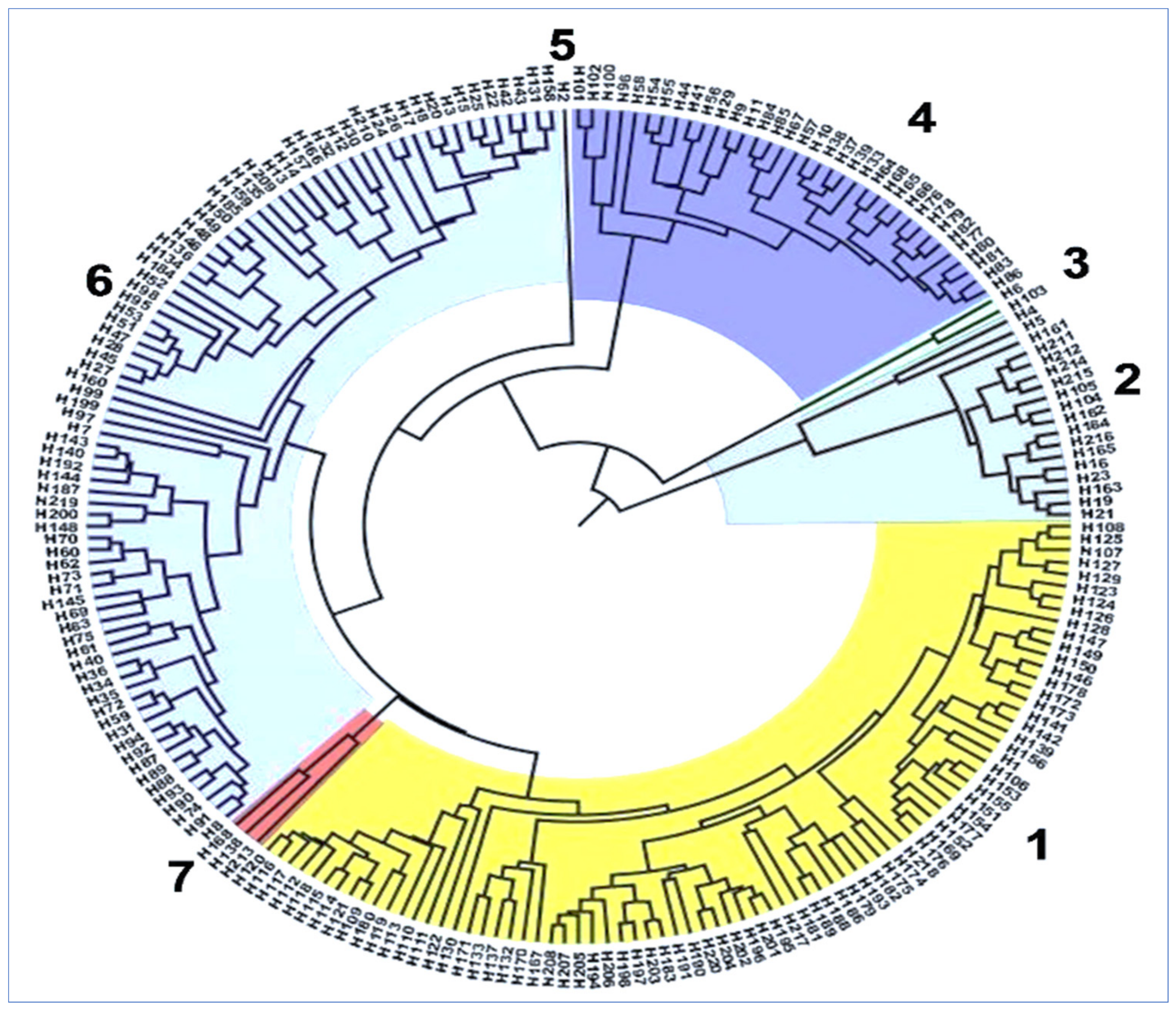 Plants 10 01735 g002