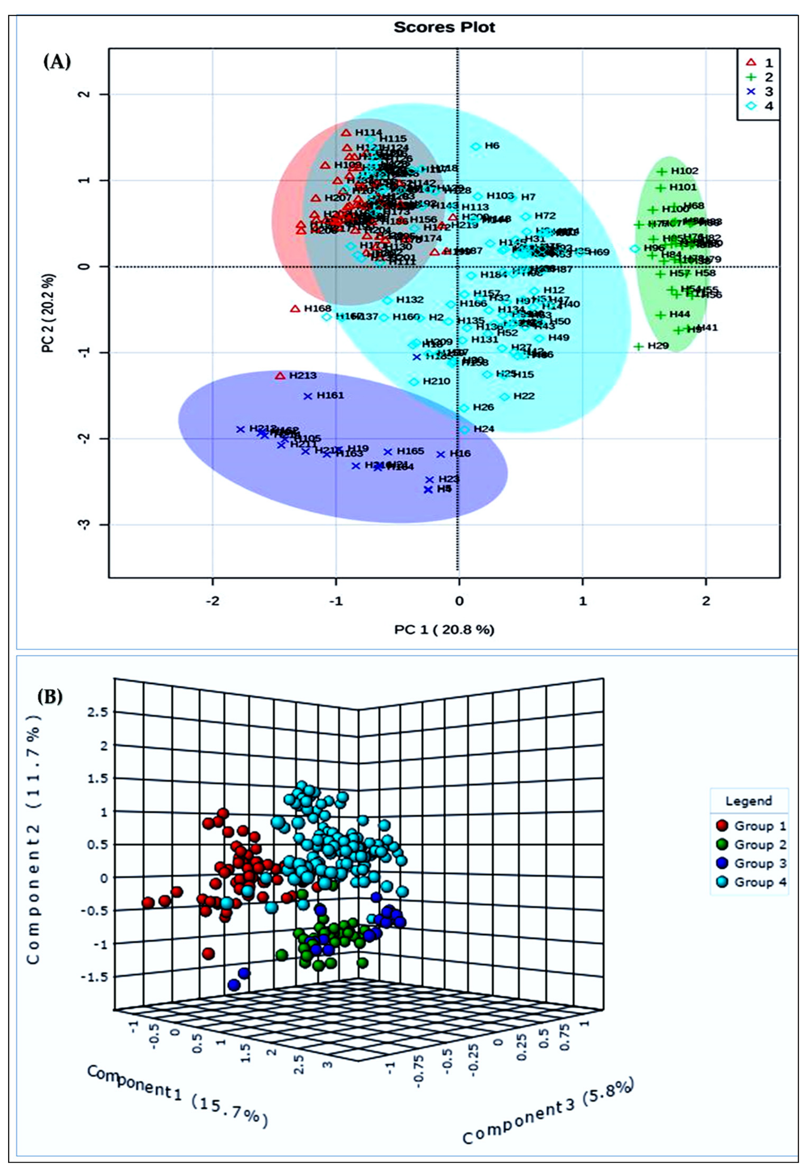 Plants 10 01735 g003
