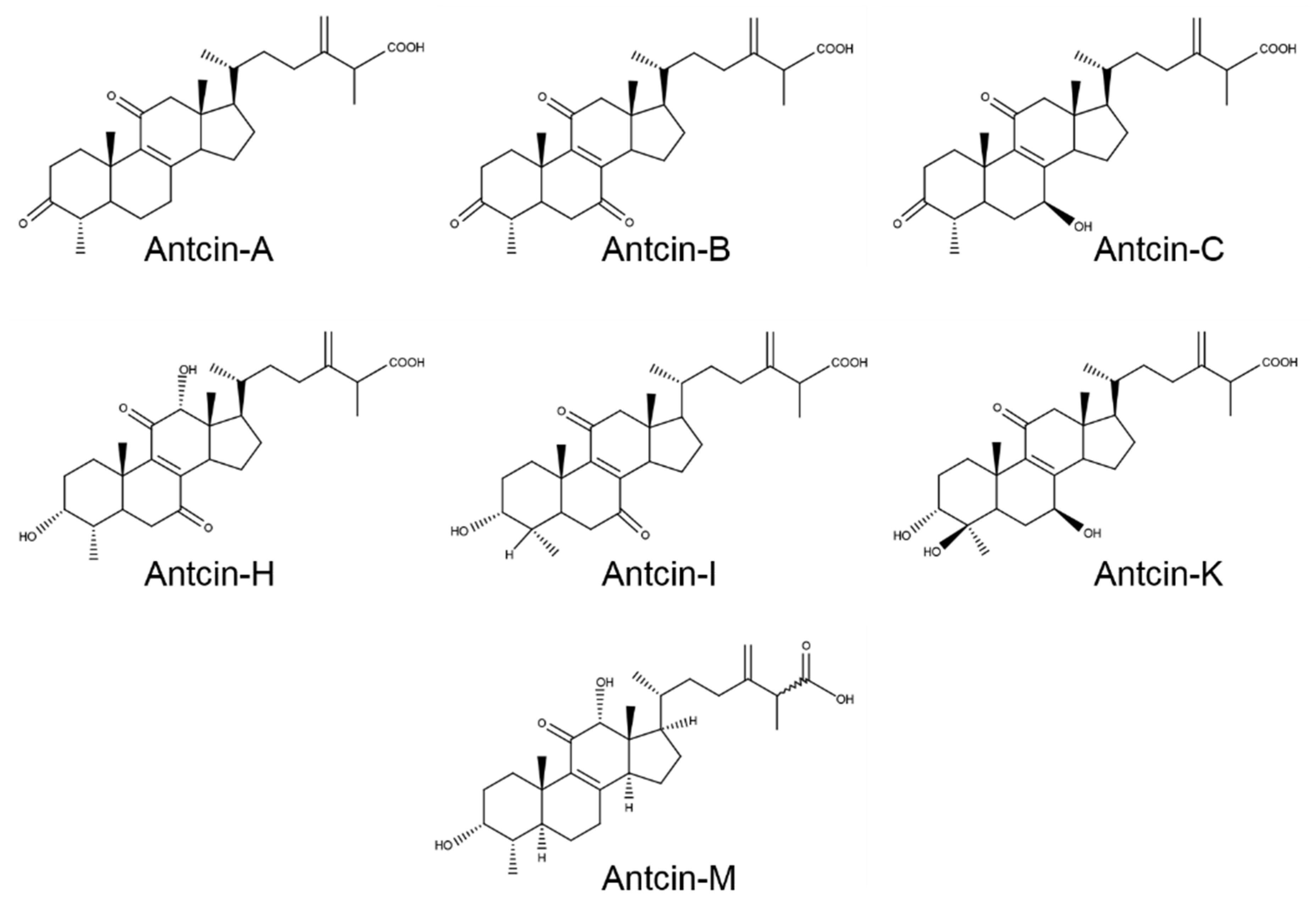 Plants 10 01736 g001