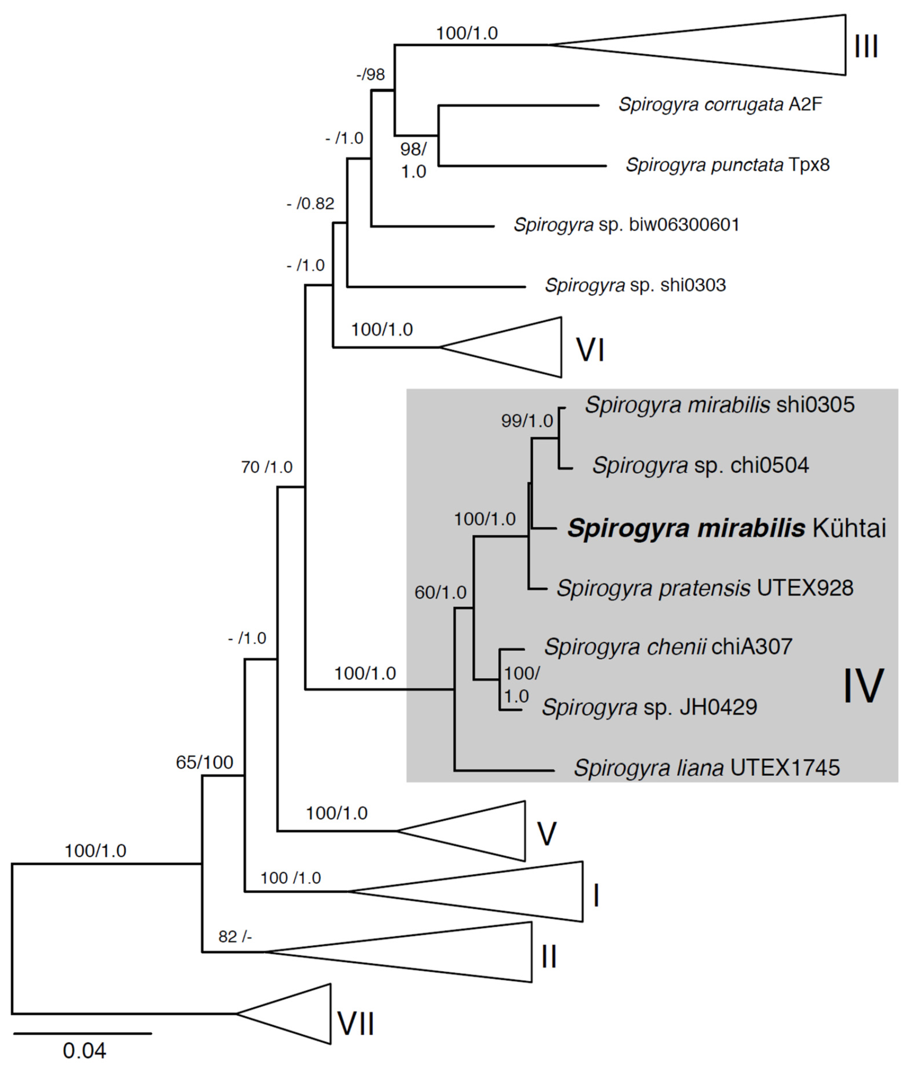 Plants 10 01740 g003