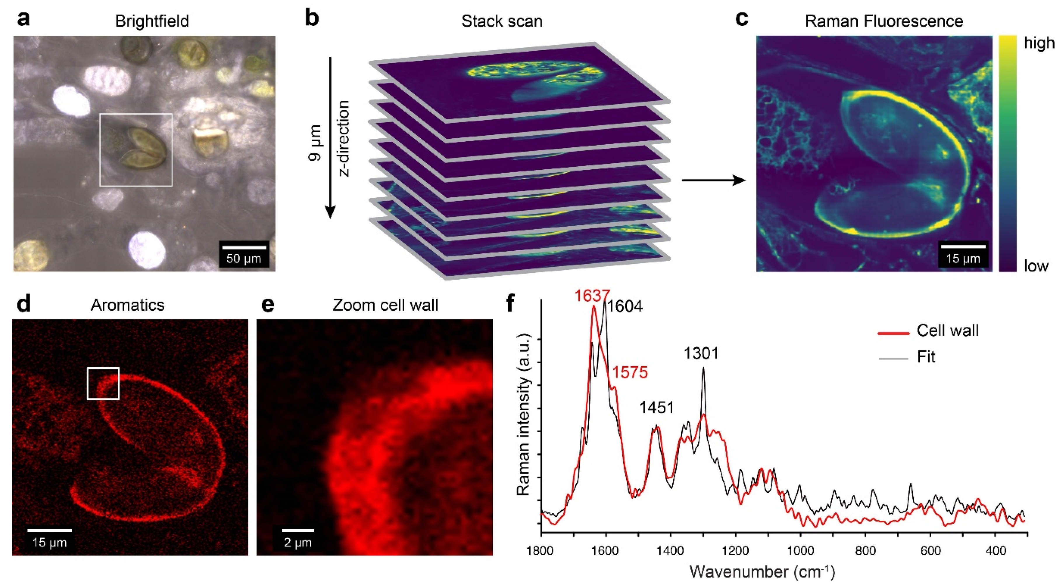 Plants 10 01740 g007