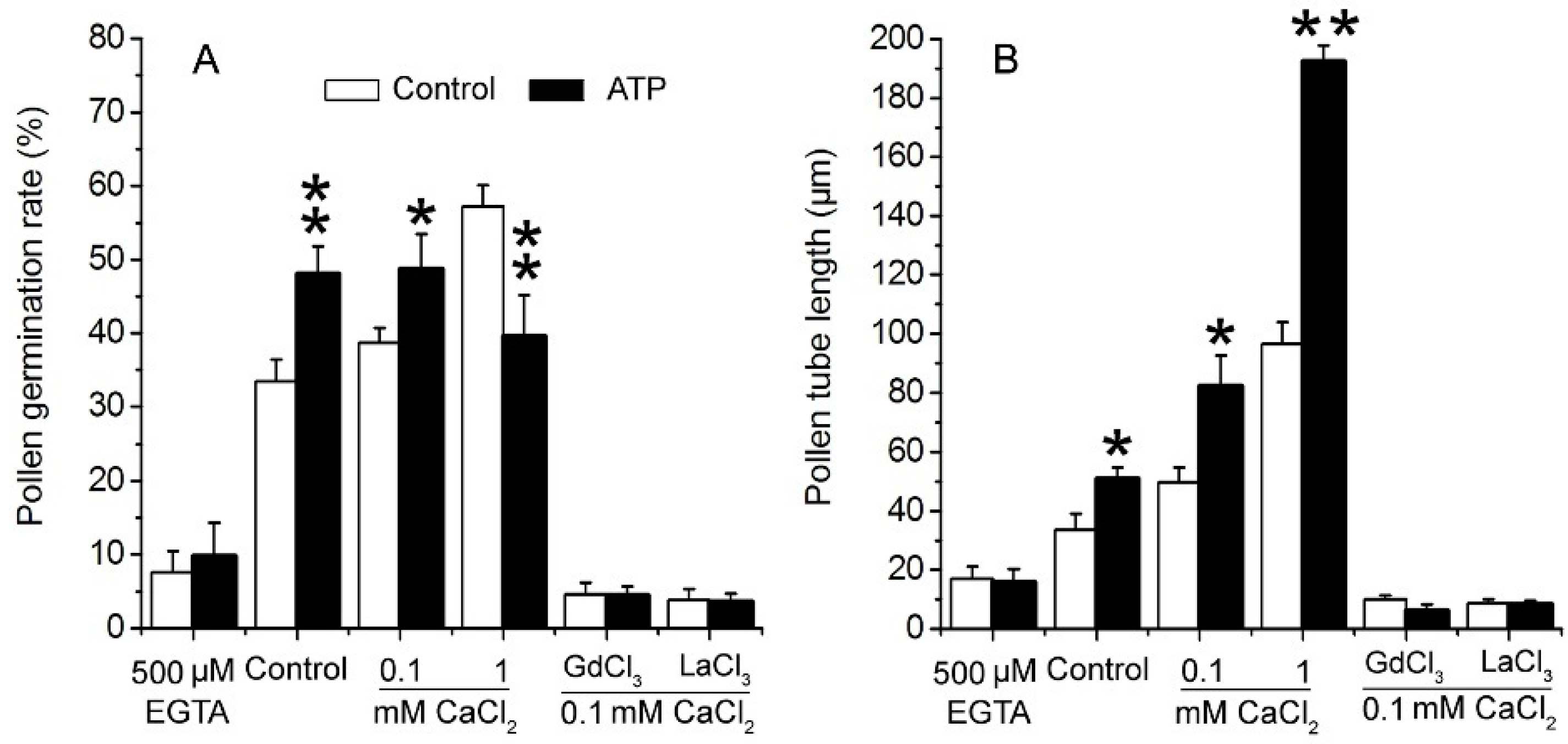 Plants 10 01743 g003 550