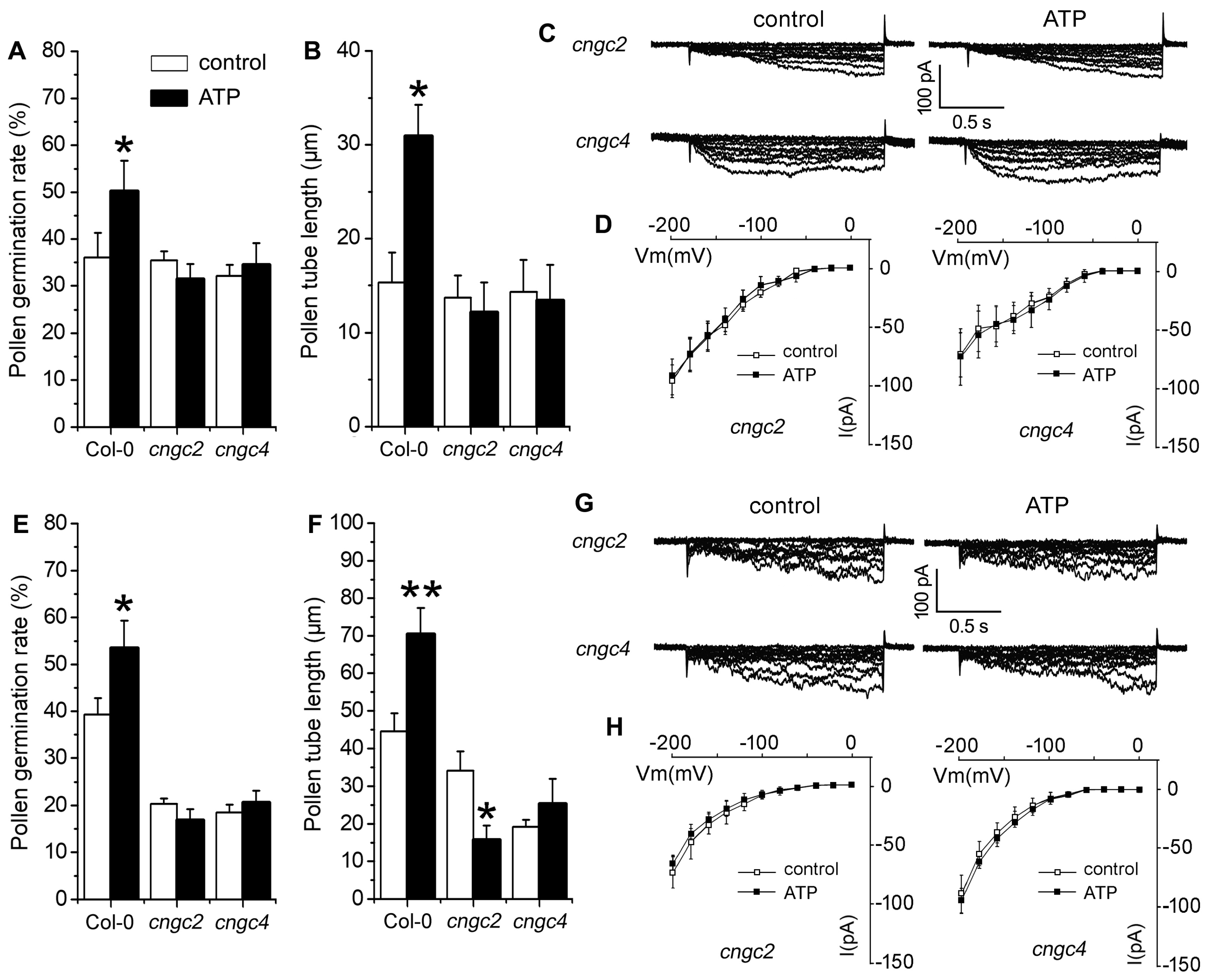 Plants 10 01743 g008 550