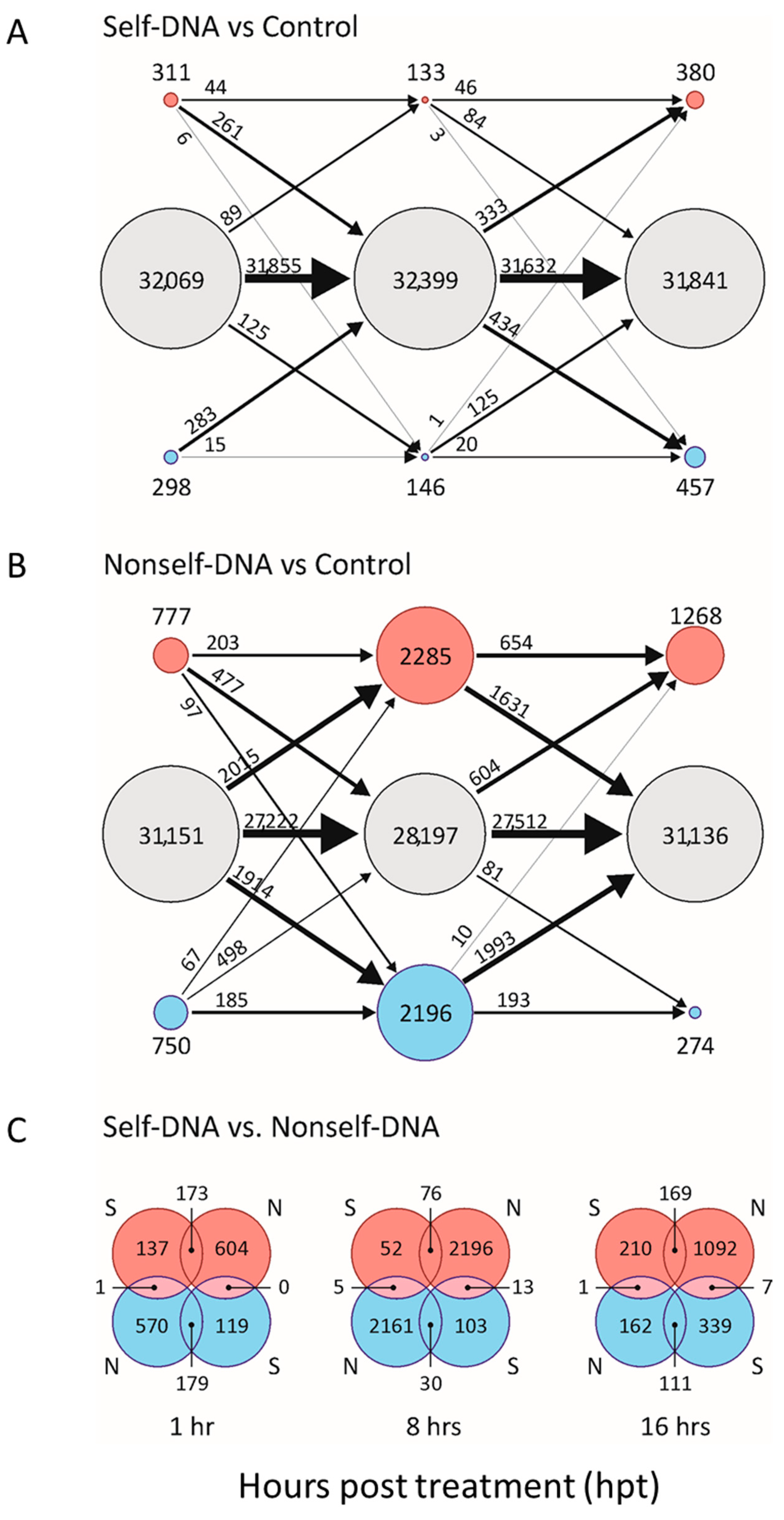 Plants 10 01744 g001 550