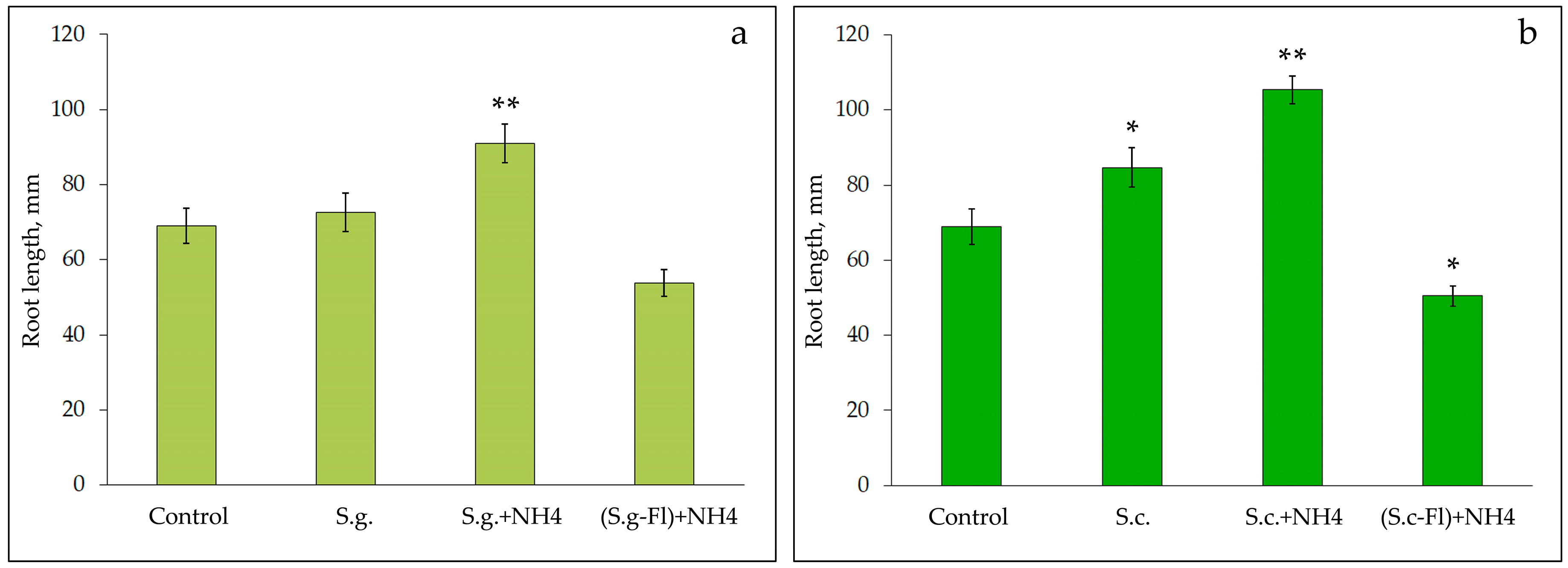 Plants 10 01748 g008