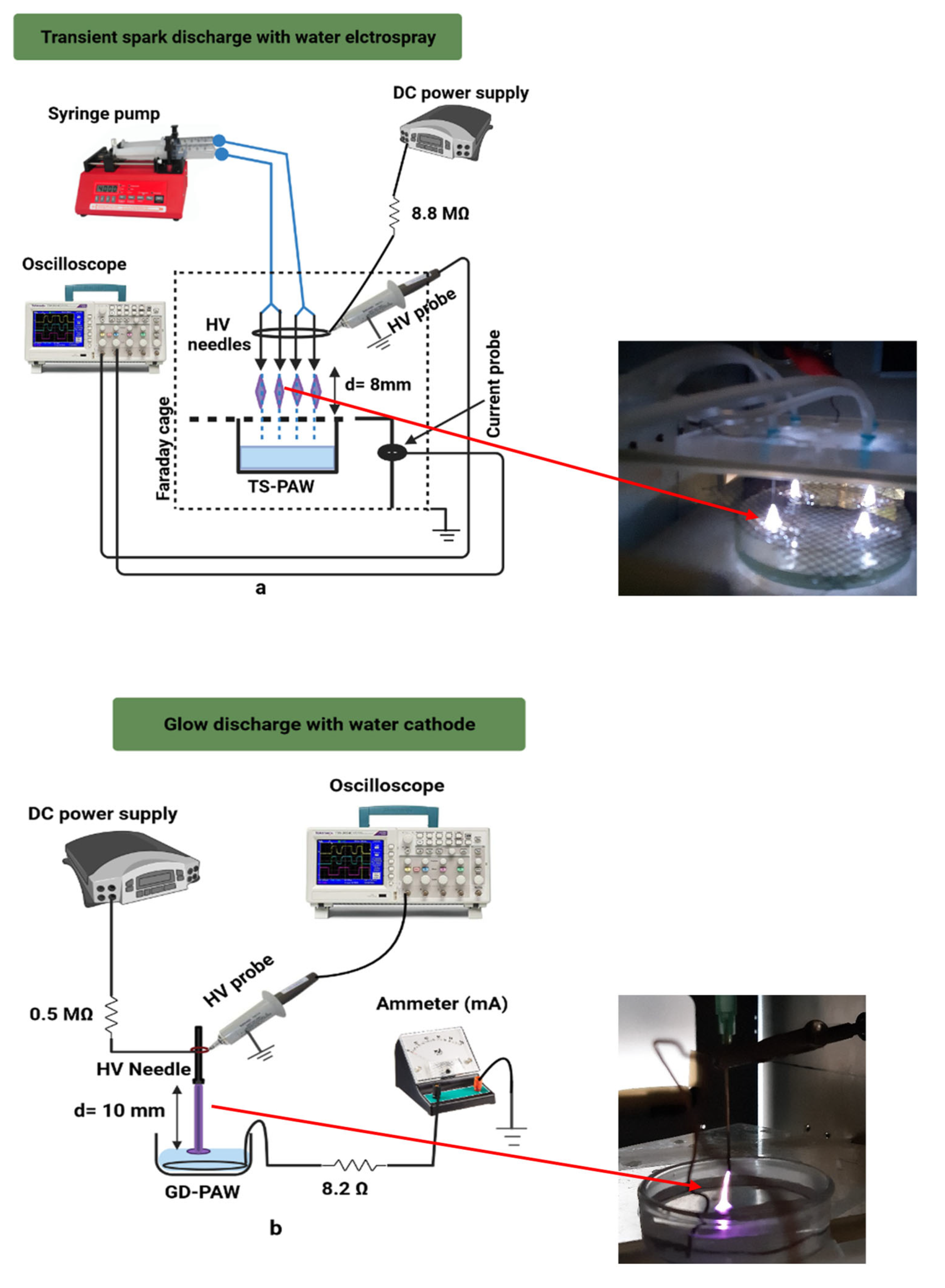 Plants  Free Full-Text  Physiological Responses of Young Pea and