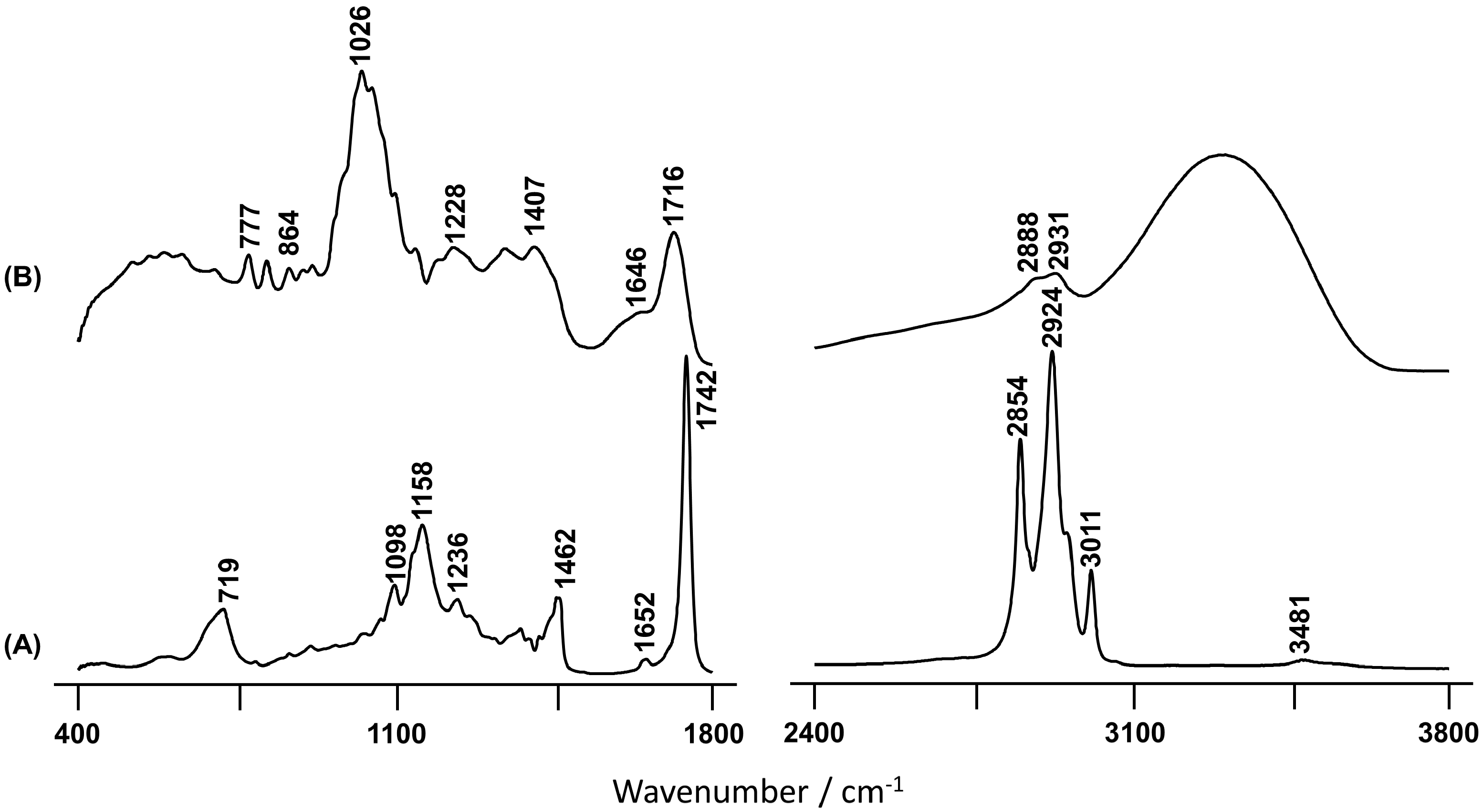 Plants 10 01761 g002