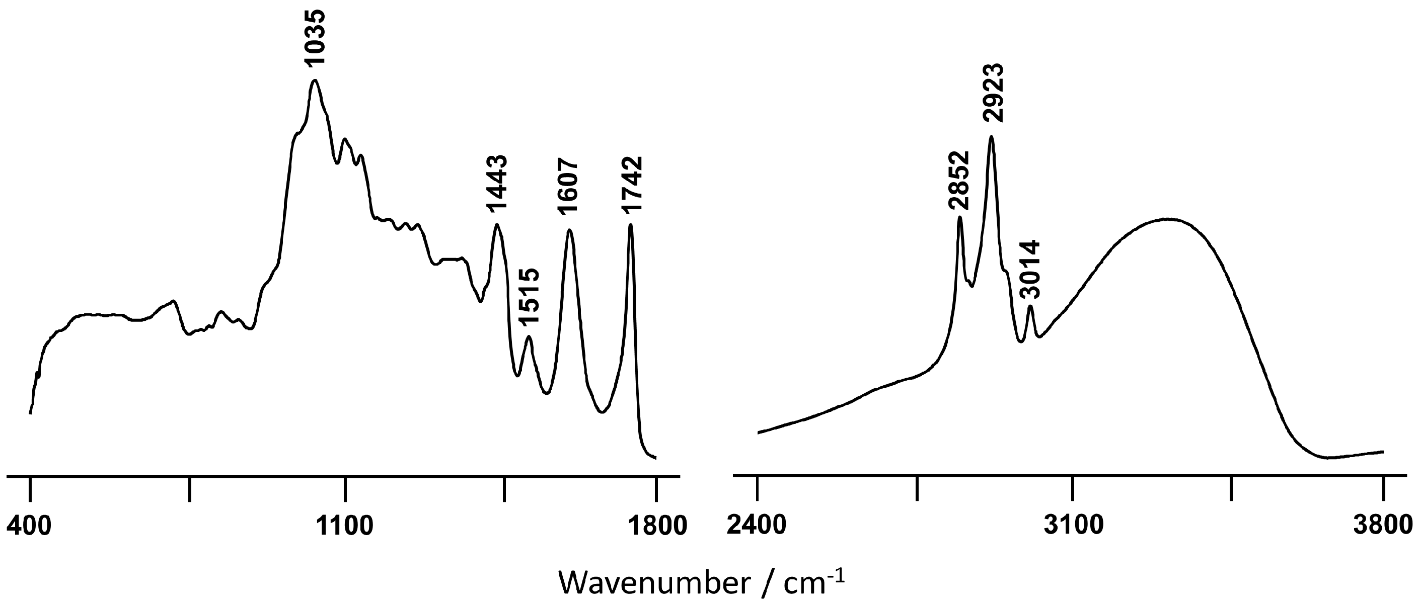 Plants 10 01761 g003