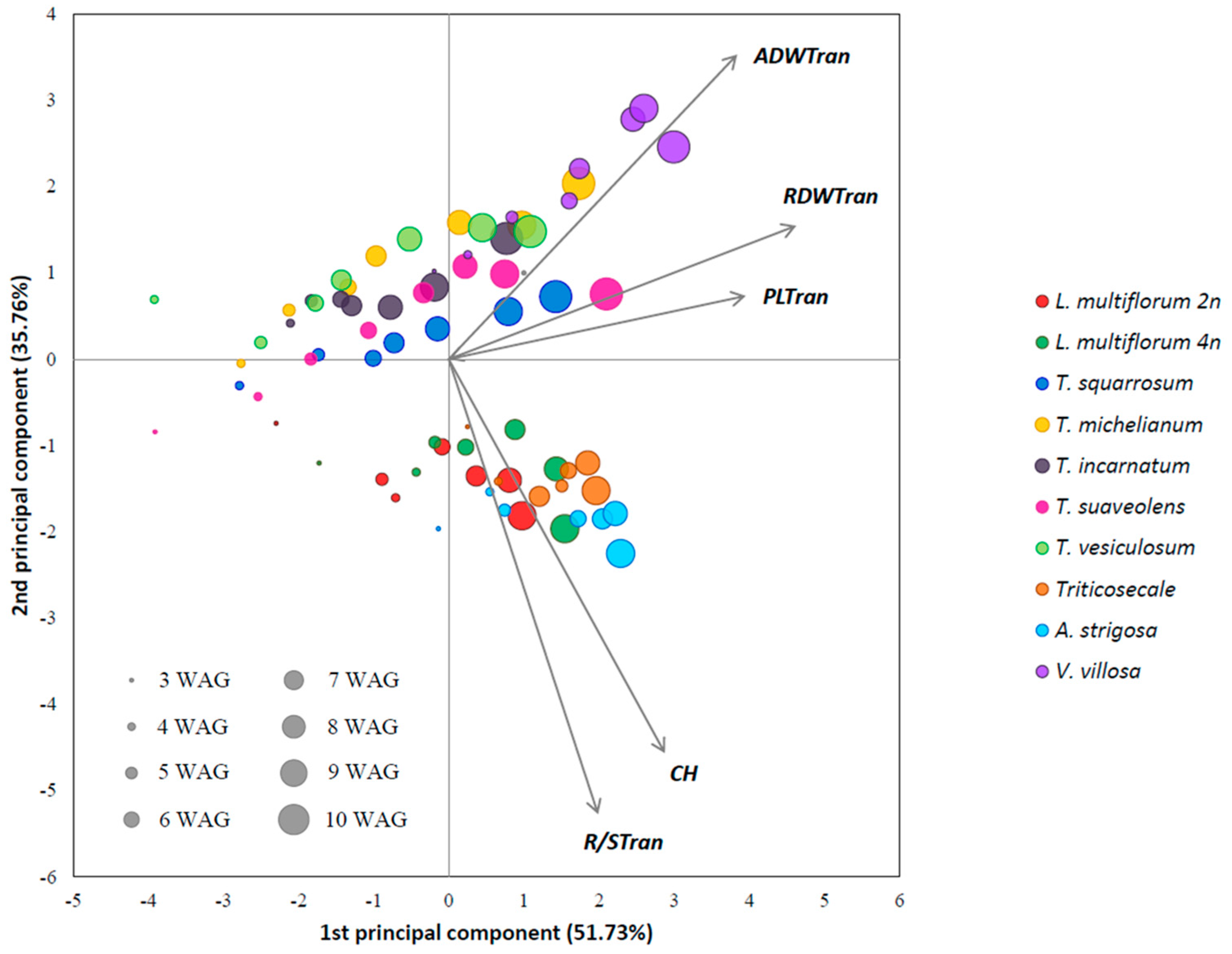 Plants 10 01763 g001