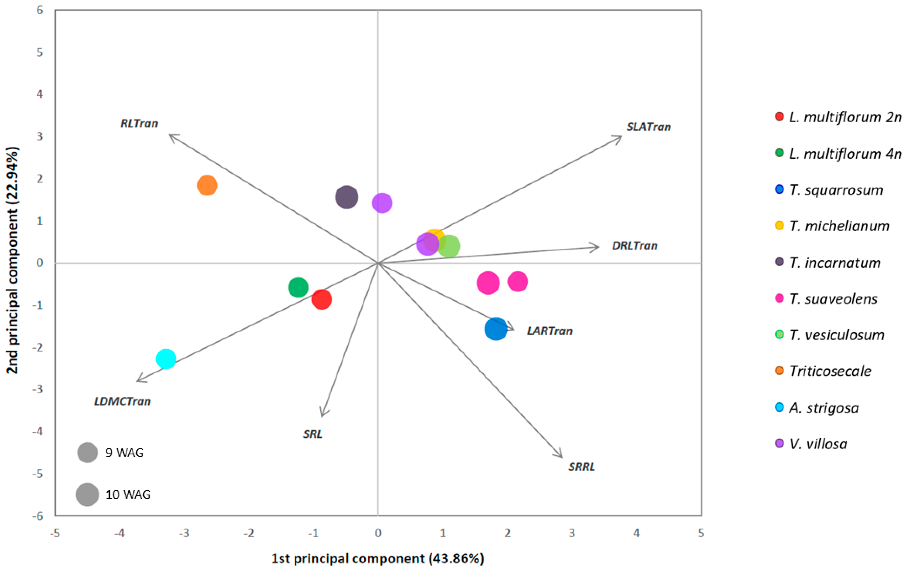Plants 10 01763 g002