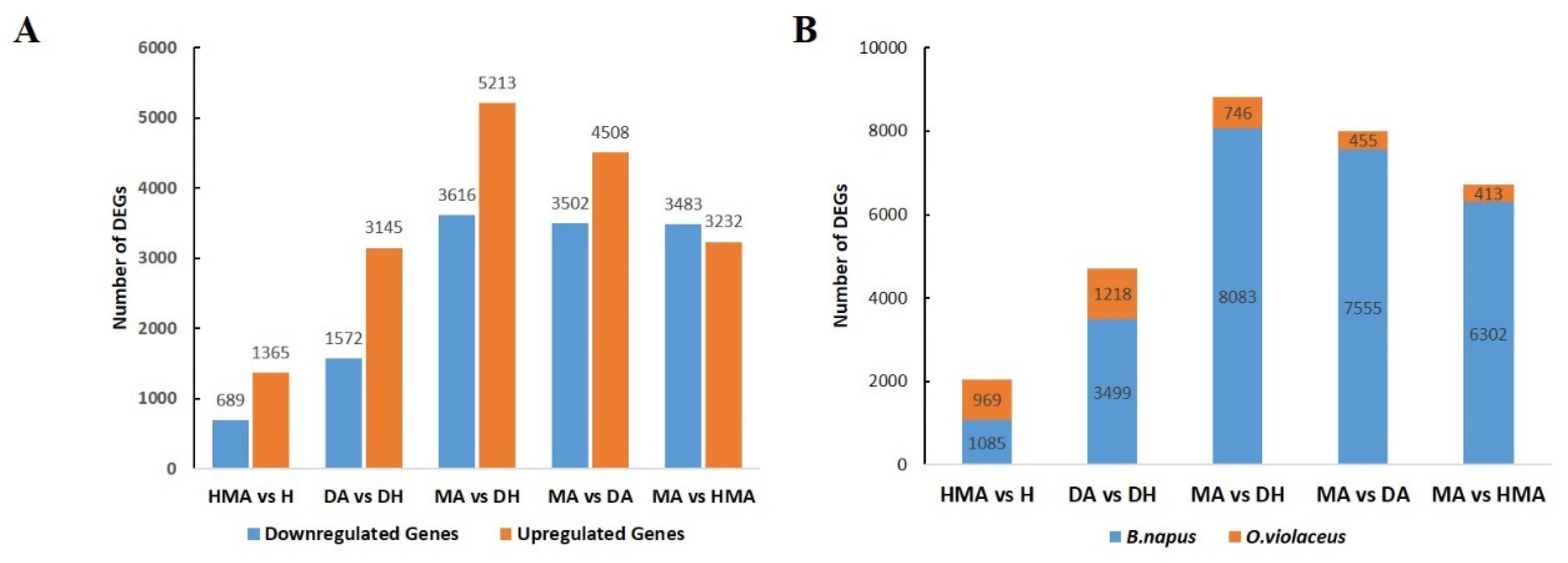 Plants 10 01766 g004 550
