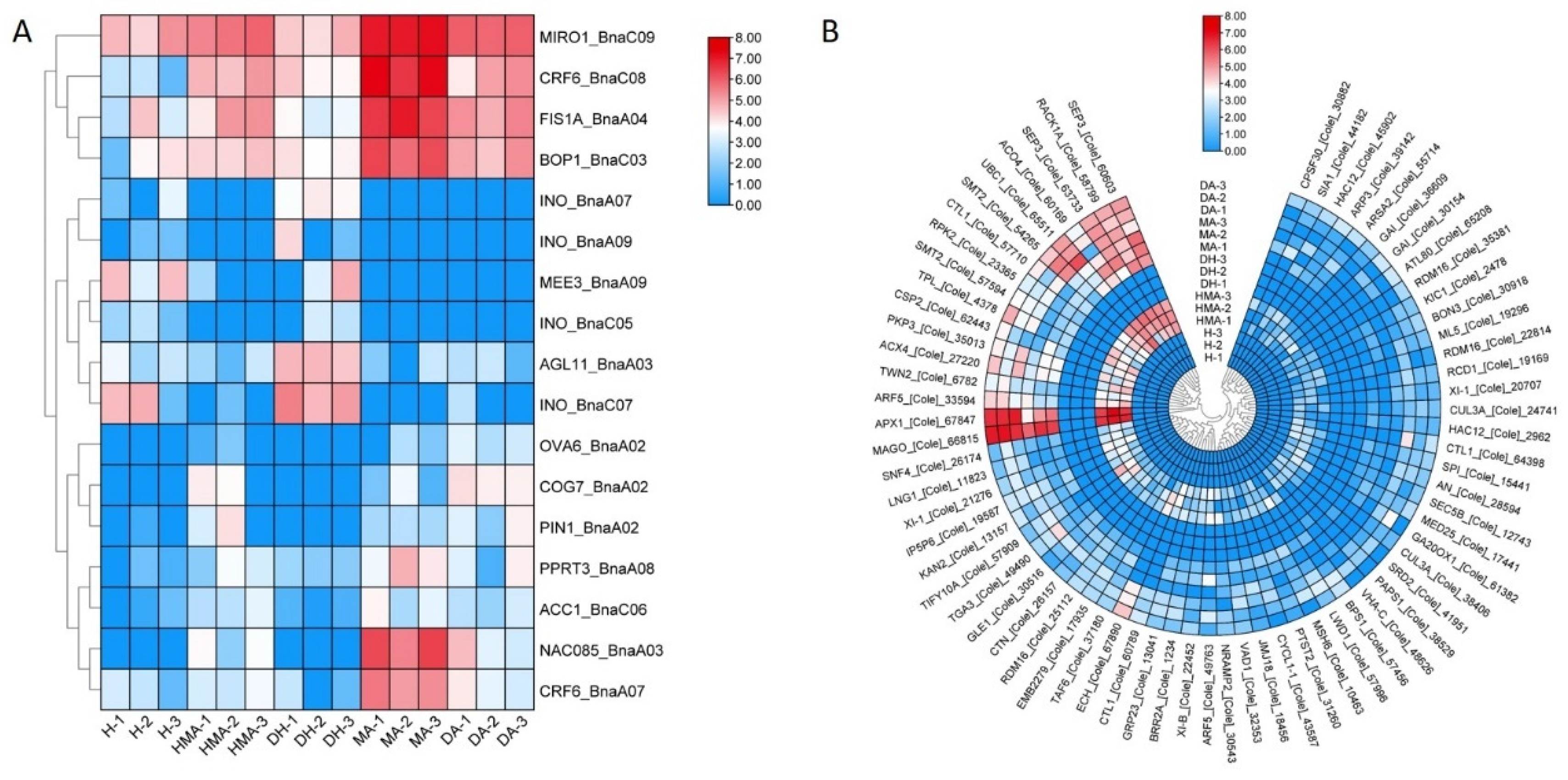 Plants 10 01766 g007 550