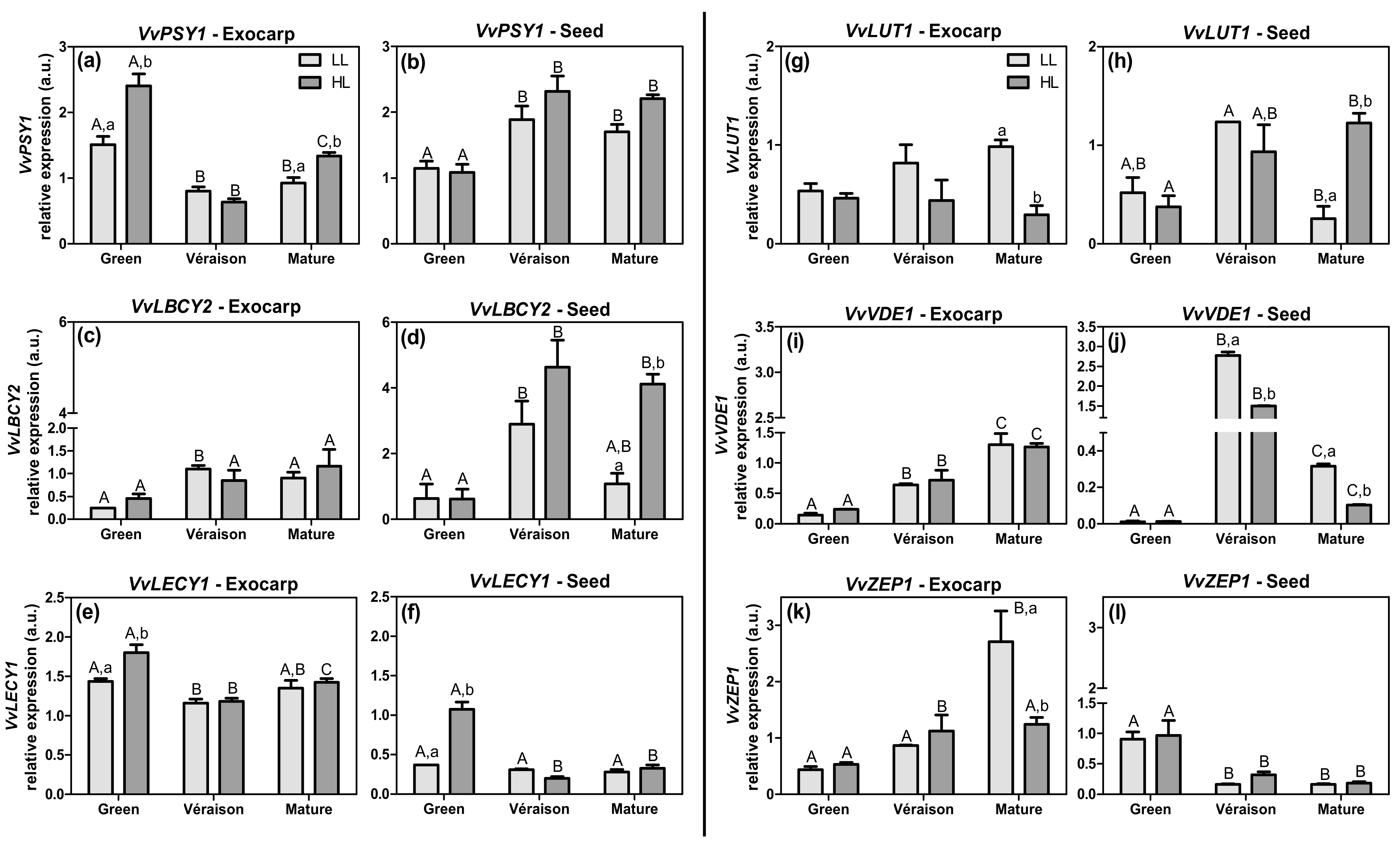Plants 10 01769 g002 550