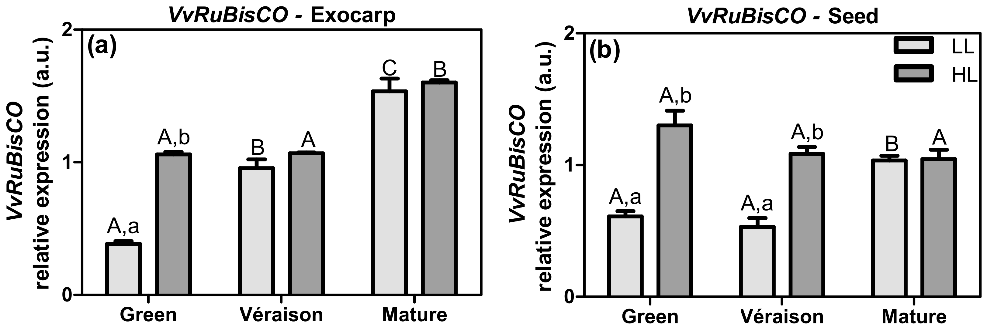 Plants 10 01769 g003 550