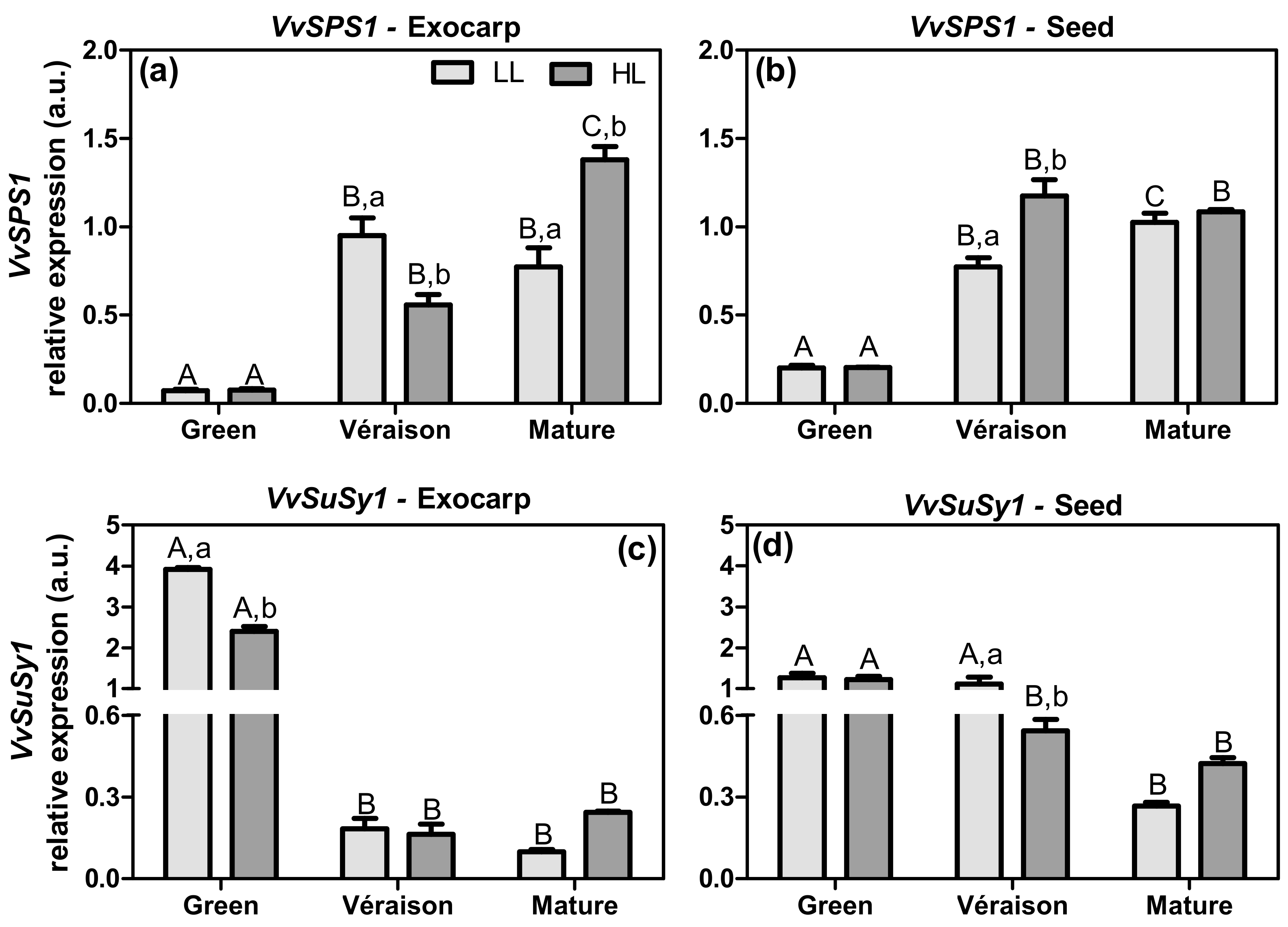 Plants 10 01769 g004 550
