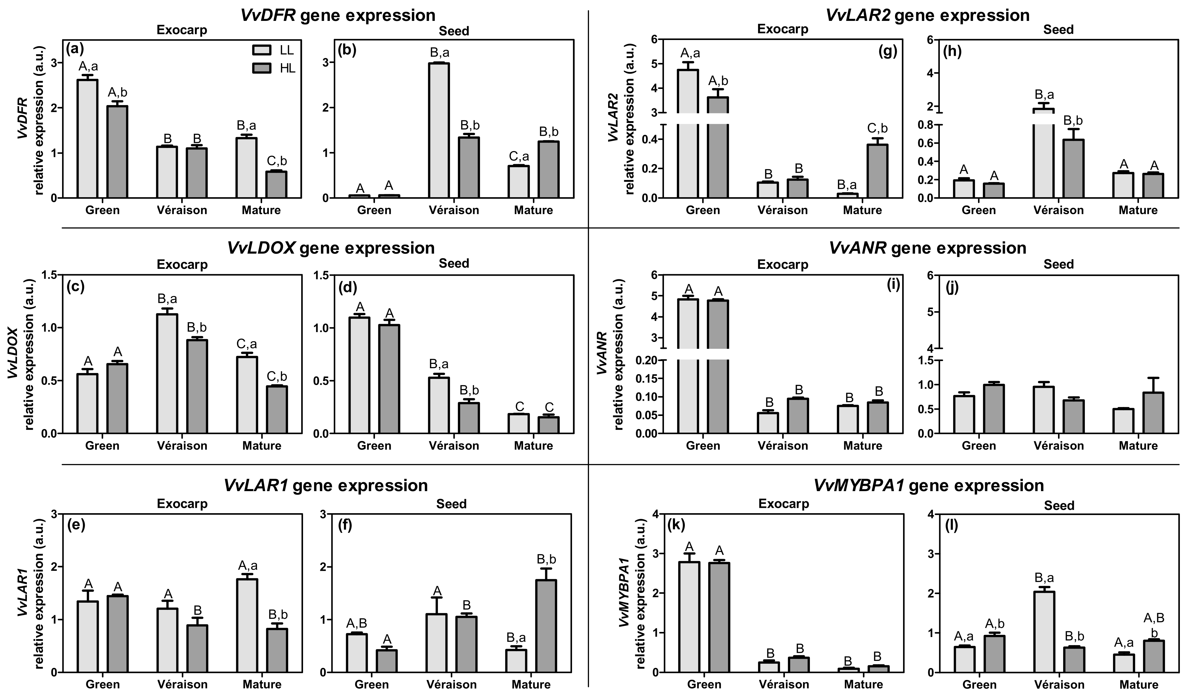 Plants 10 01769 g007 550
