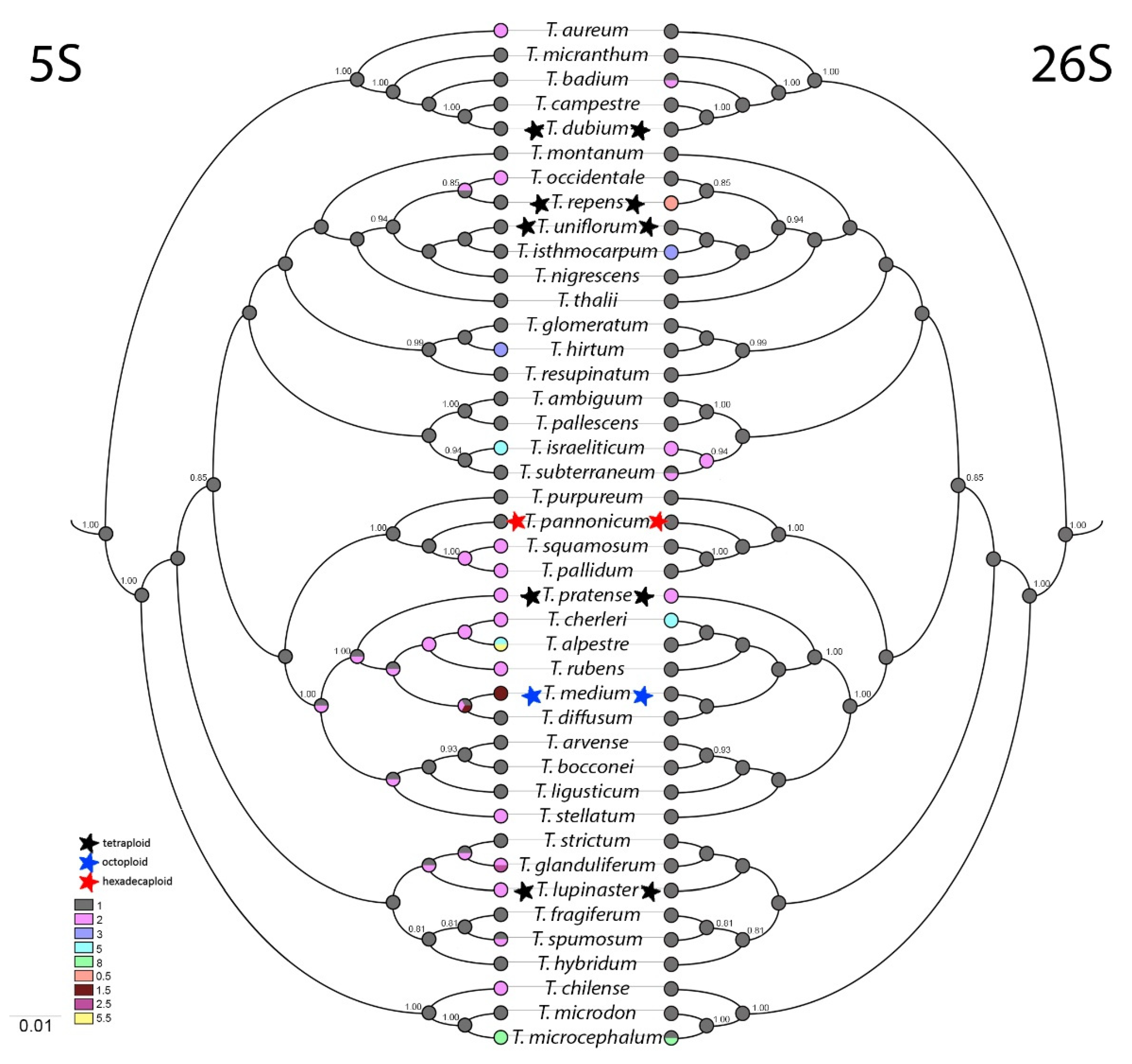 Plants 10 01771 g003 Plants 10 01771 g003