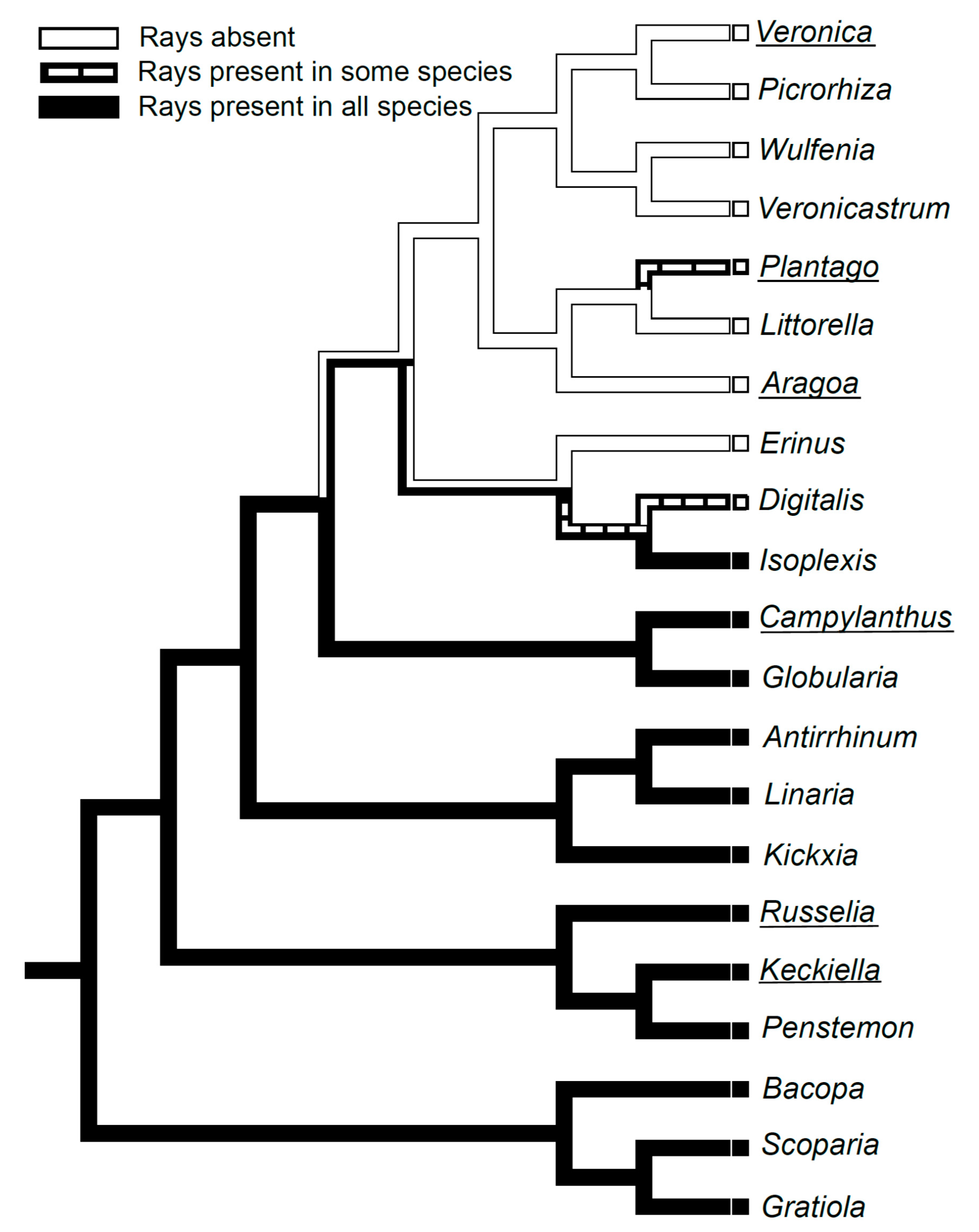 Plants 10 01773 g005 Plants 10 01773 g005