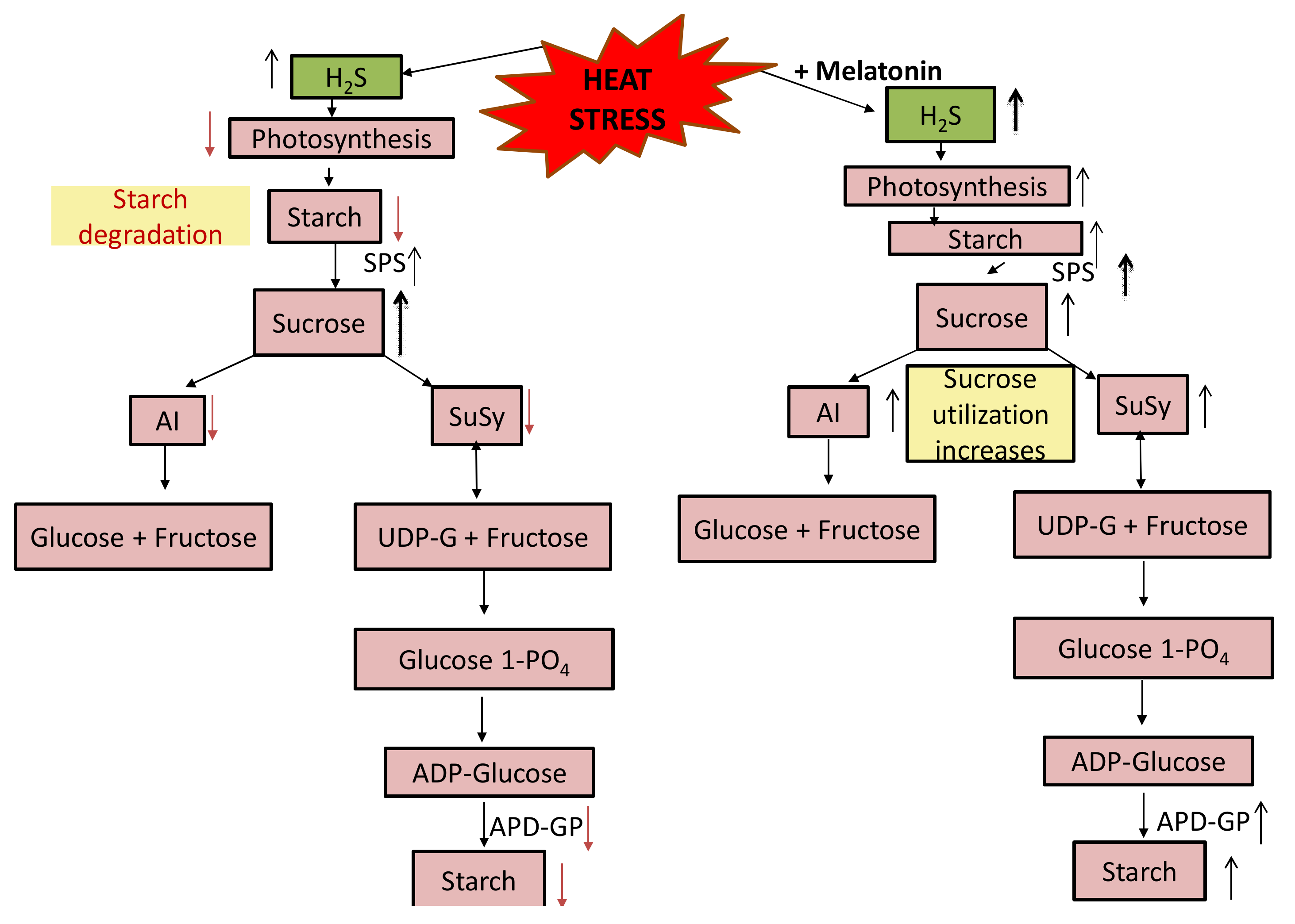Plants 10 01778 g009 550