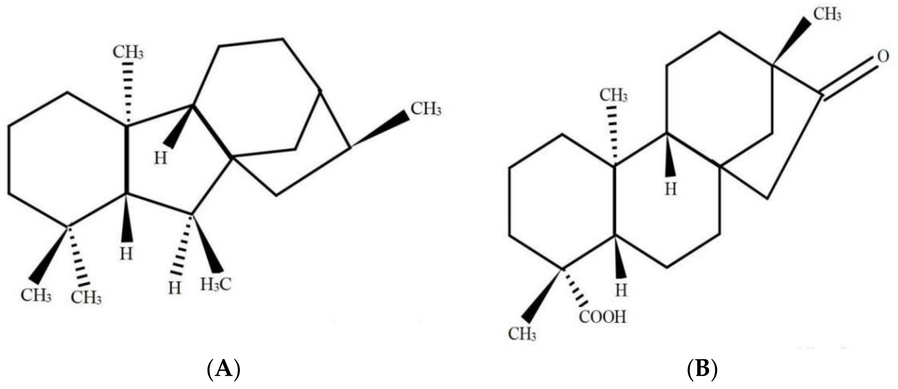 Plants 10 01779 g001 550
