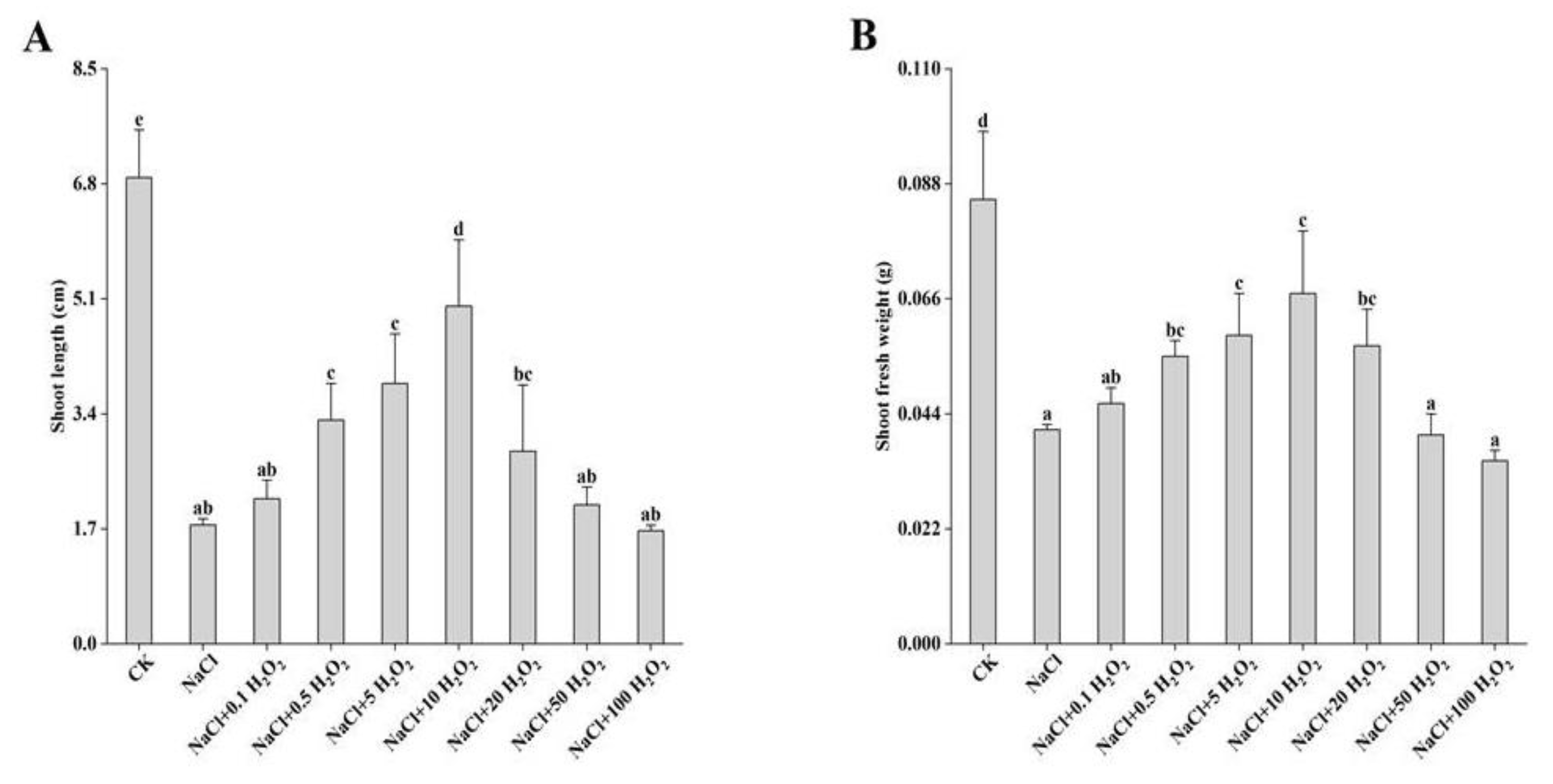 Plants 10 01784 g002 550