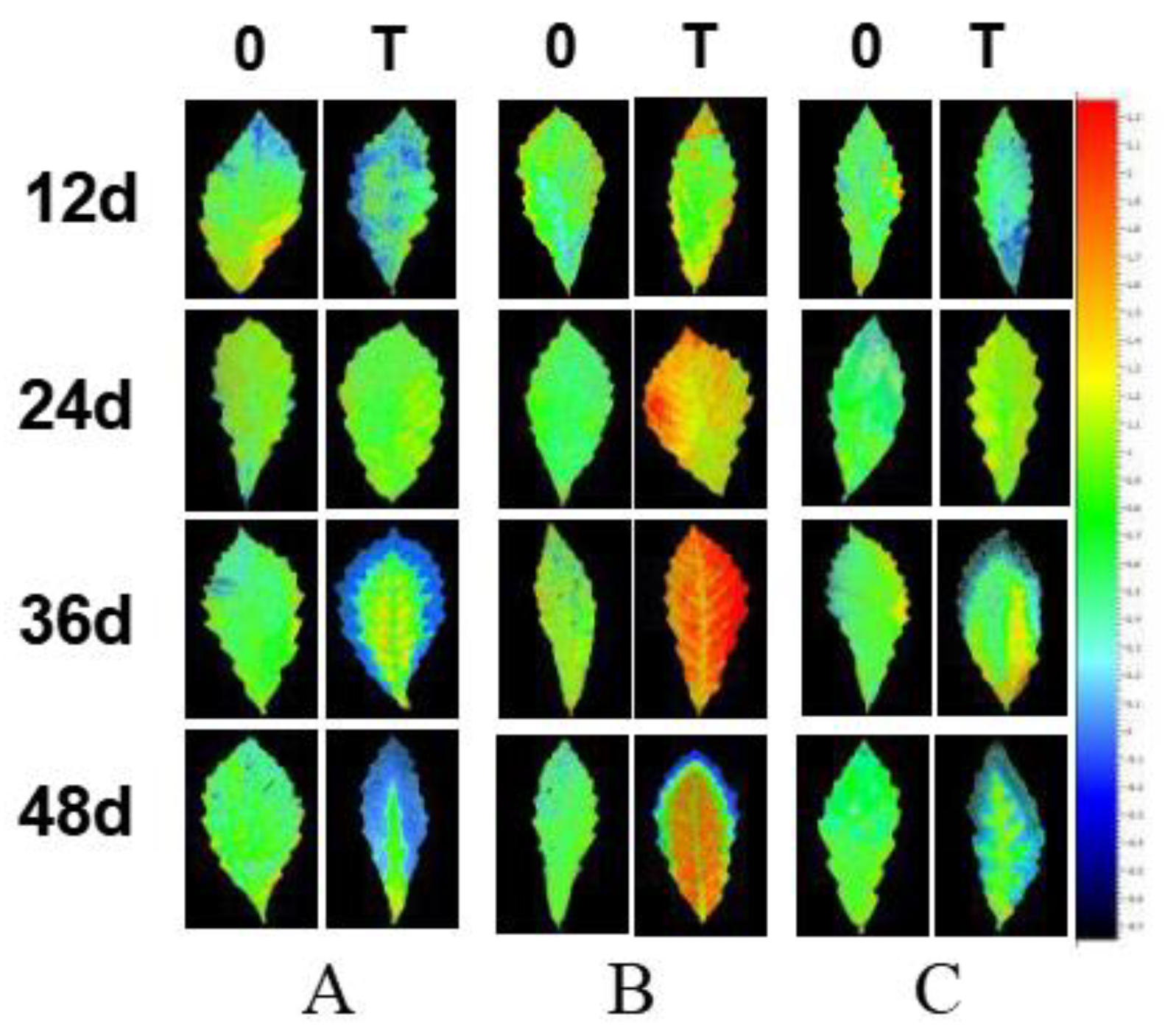 Plants 10 01790 g007